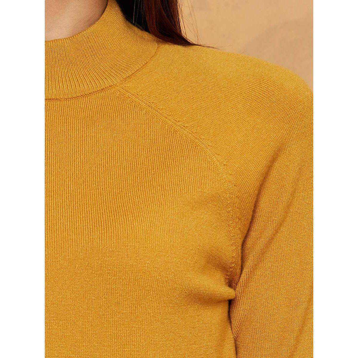 Styli Regular Length High Neck Fitted Sweater-women-winterwear-cardigansandjumpers-jumpers-image-4