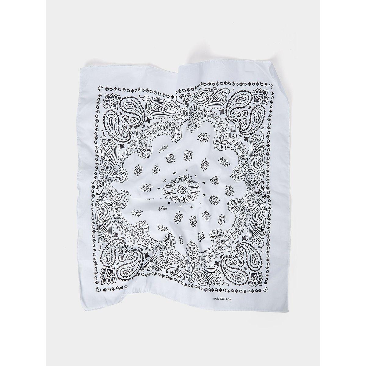 Styli Paisley Print Scarf-women-winterwear-scarves-image-1