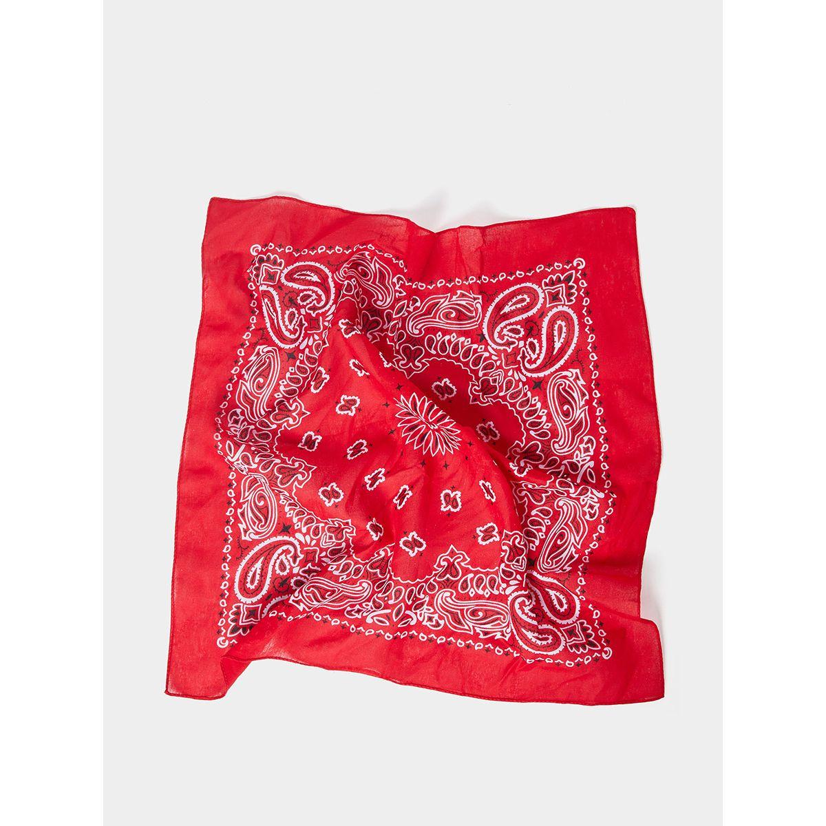 Styli Paisley Print Scarf-women-winterwear-scarves-image-1