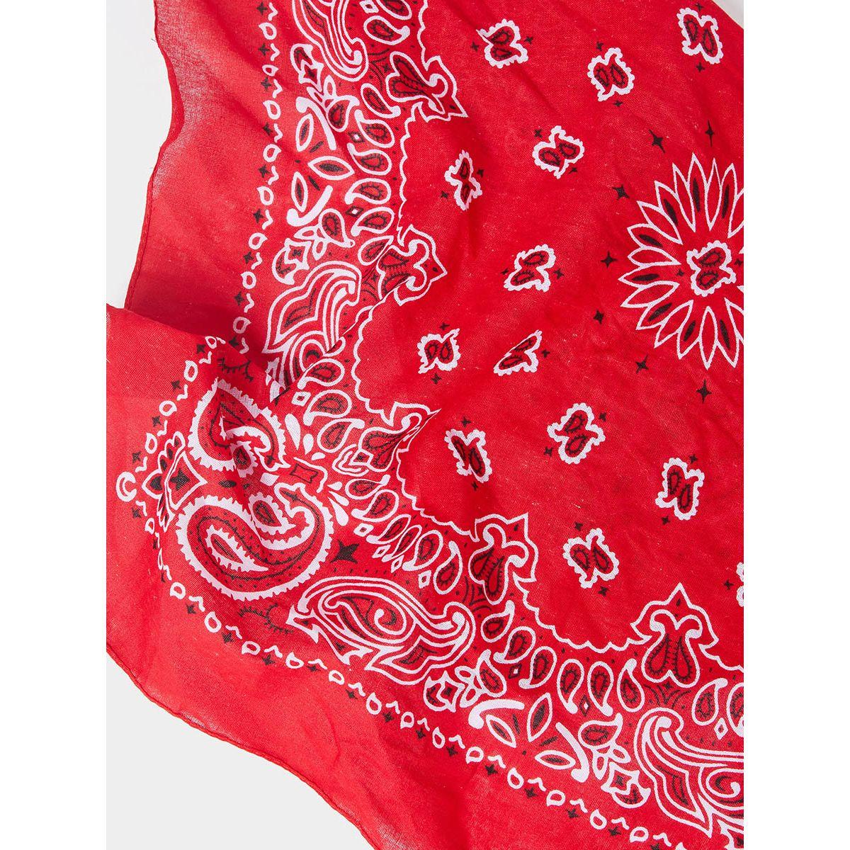 Styli Paisley Print Scarf-women-winterwear-scarves-image-2