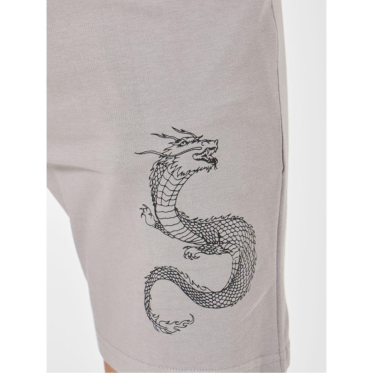Styli Dragon Graphic Regular Fit Shorts-men-clothing-bottoms-shorts-image-3