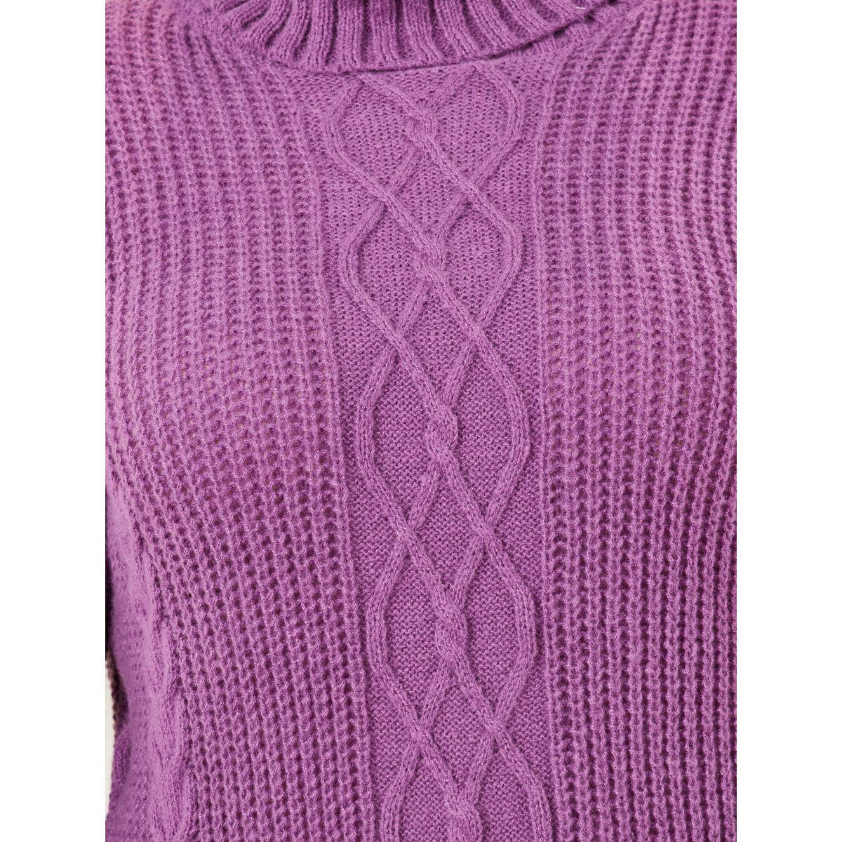 Styli Plus Cable Knit Turtle Neck Sweater Midi Dress-women-clothing-dresses-image-3