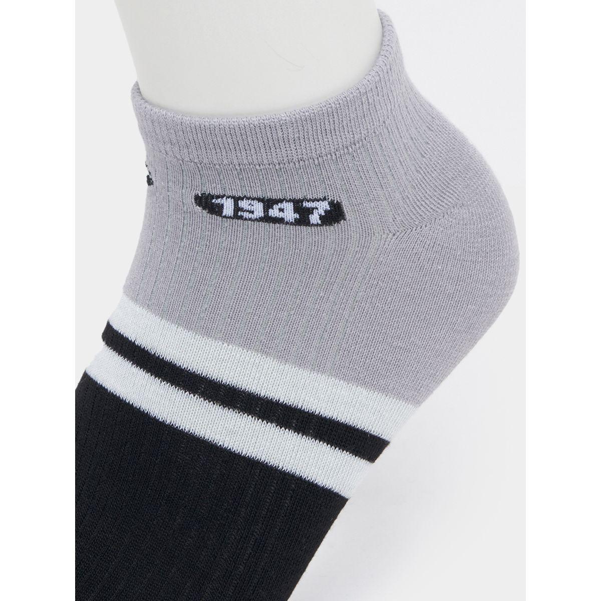 Styli Set of 5 - Contrast Detail Ankle Socks-men-socks-image-3