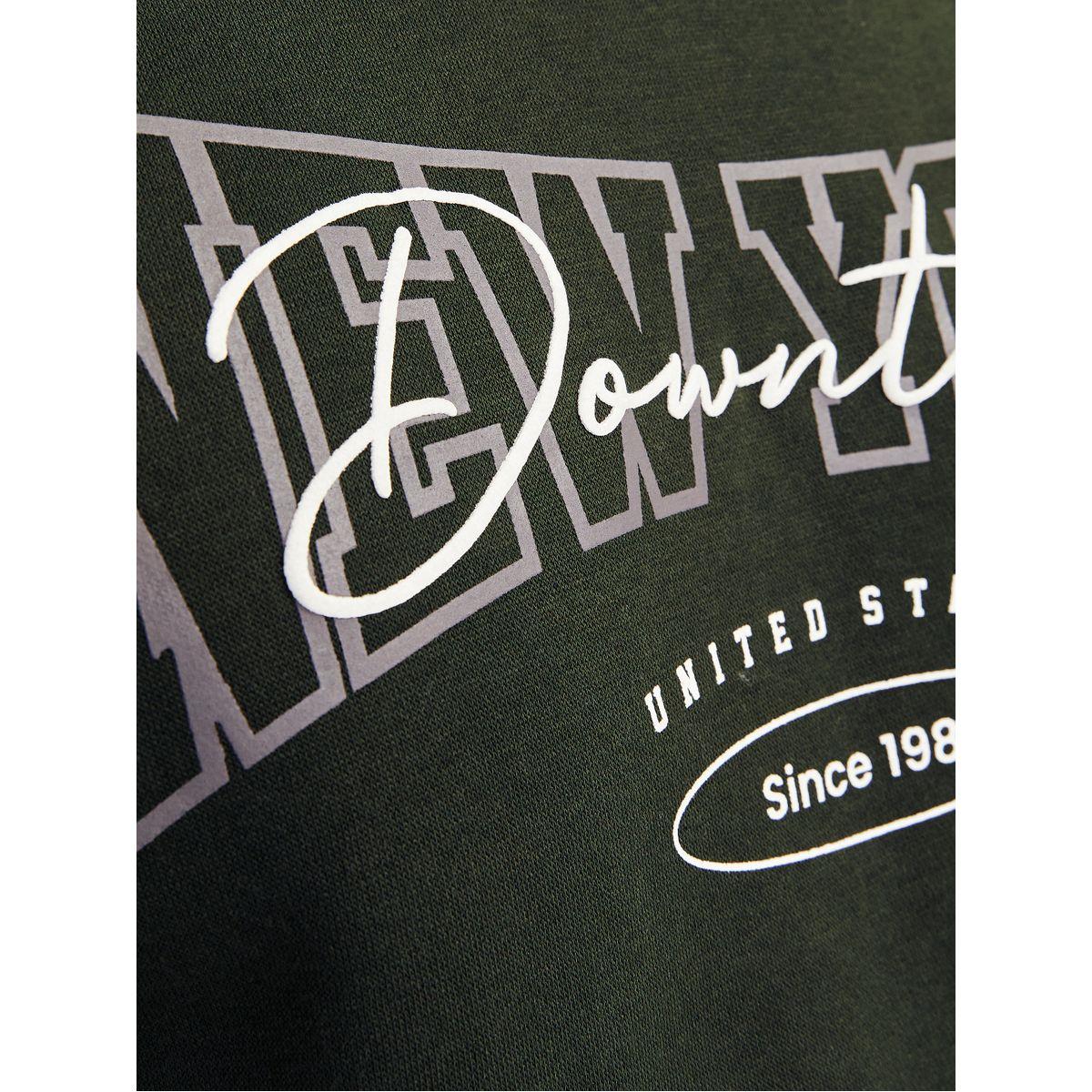 REBEL NY Print Crew Neck Sweatshirt-men-winterwear-hoodiesandsweatshirts-image-2