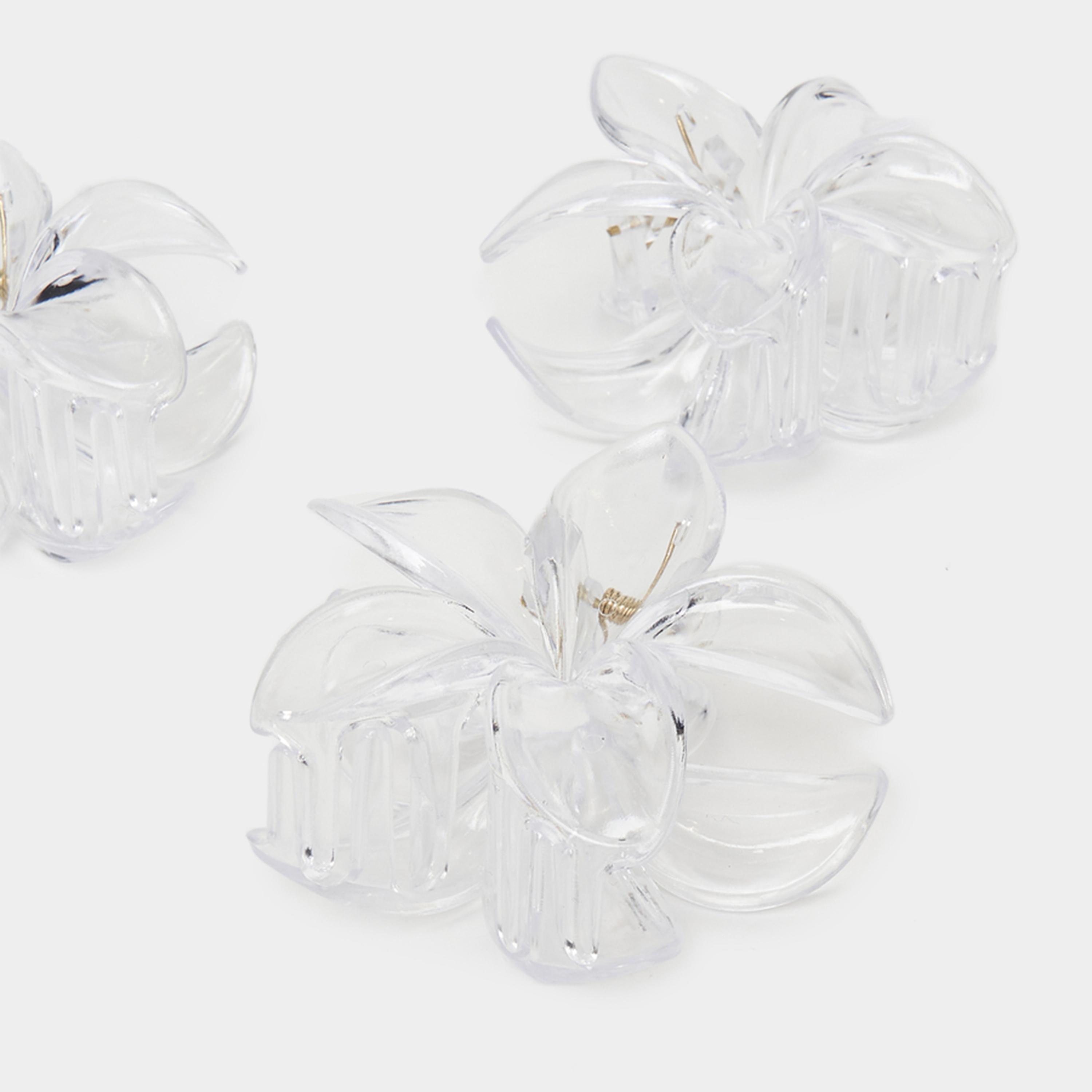 ستايلي - مجموعة من 4 قطع - مشبك شعر شفاف-women-hairaccessories-clips-image-4