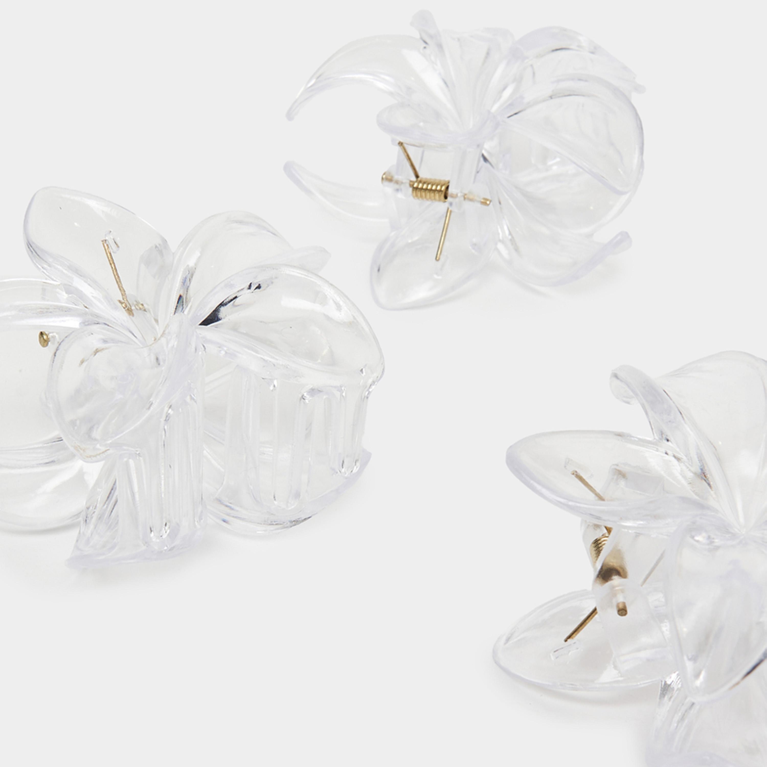 ستايلي - مجموعة من 4 قطع - مشبك شعر شفاف-women-hairaccessories-clips-image-5
