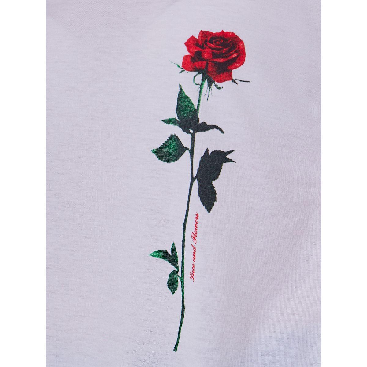 Rose Graphic Print Short Sleeve T-Shirt-women-clothing-tshirts-image-3