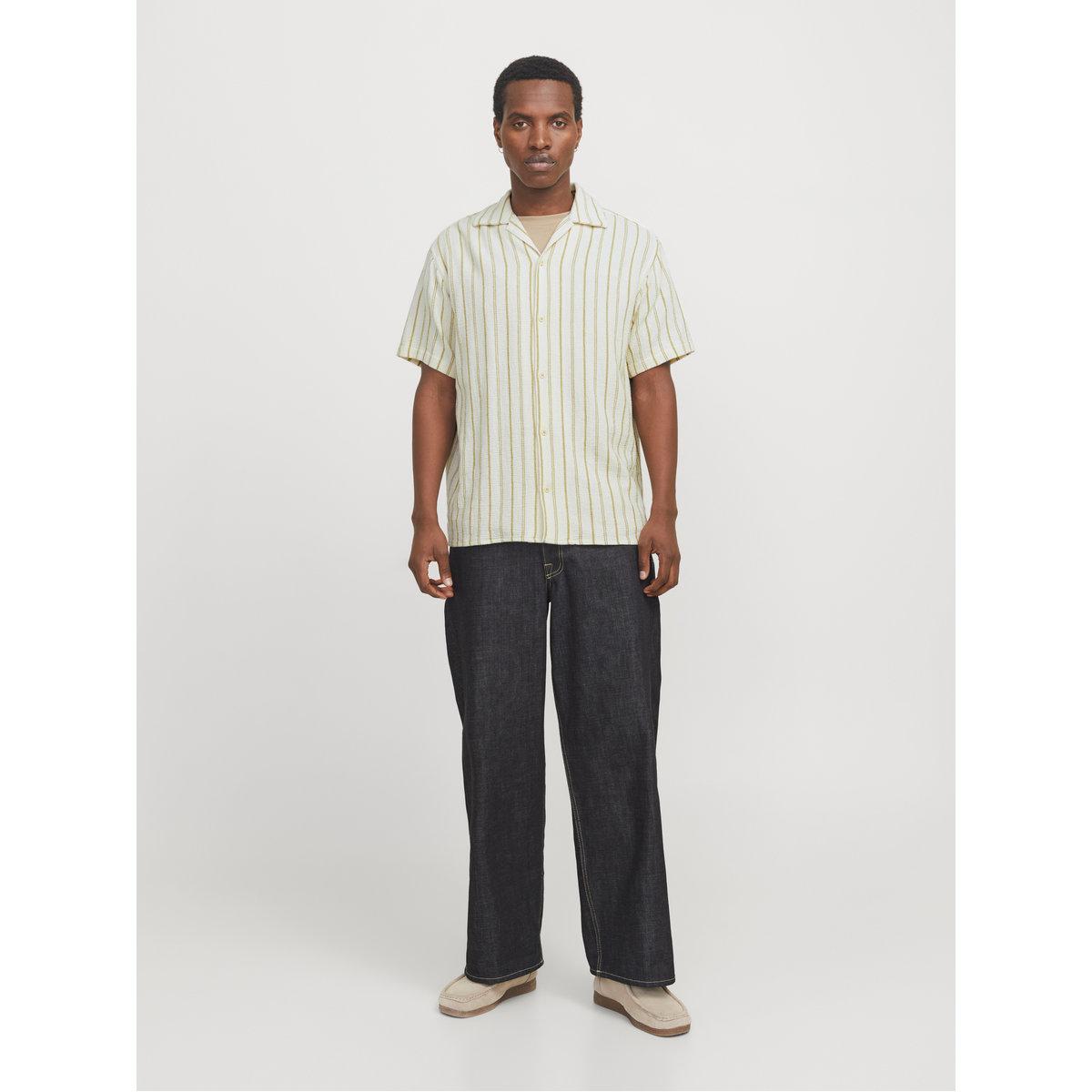 Jack & Jones Striped Resort Collar Regular Fit Shirt-men-clothing-shirts-image-3