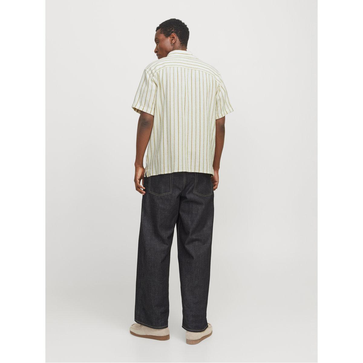 Jack & Jones Striped Resort Collar Regular Fit Shirt-men-clothing-shirts-image-4