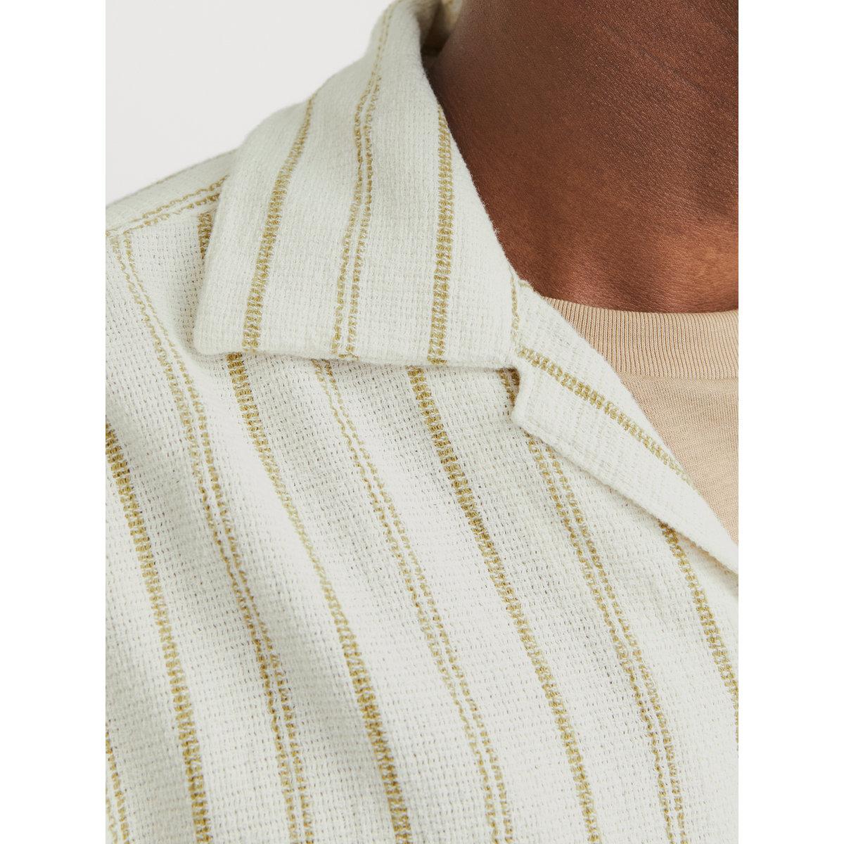 Jack & Jones Striped Resort Collar Regular Fit Shirt-men-clothing-shirts-image-5