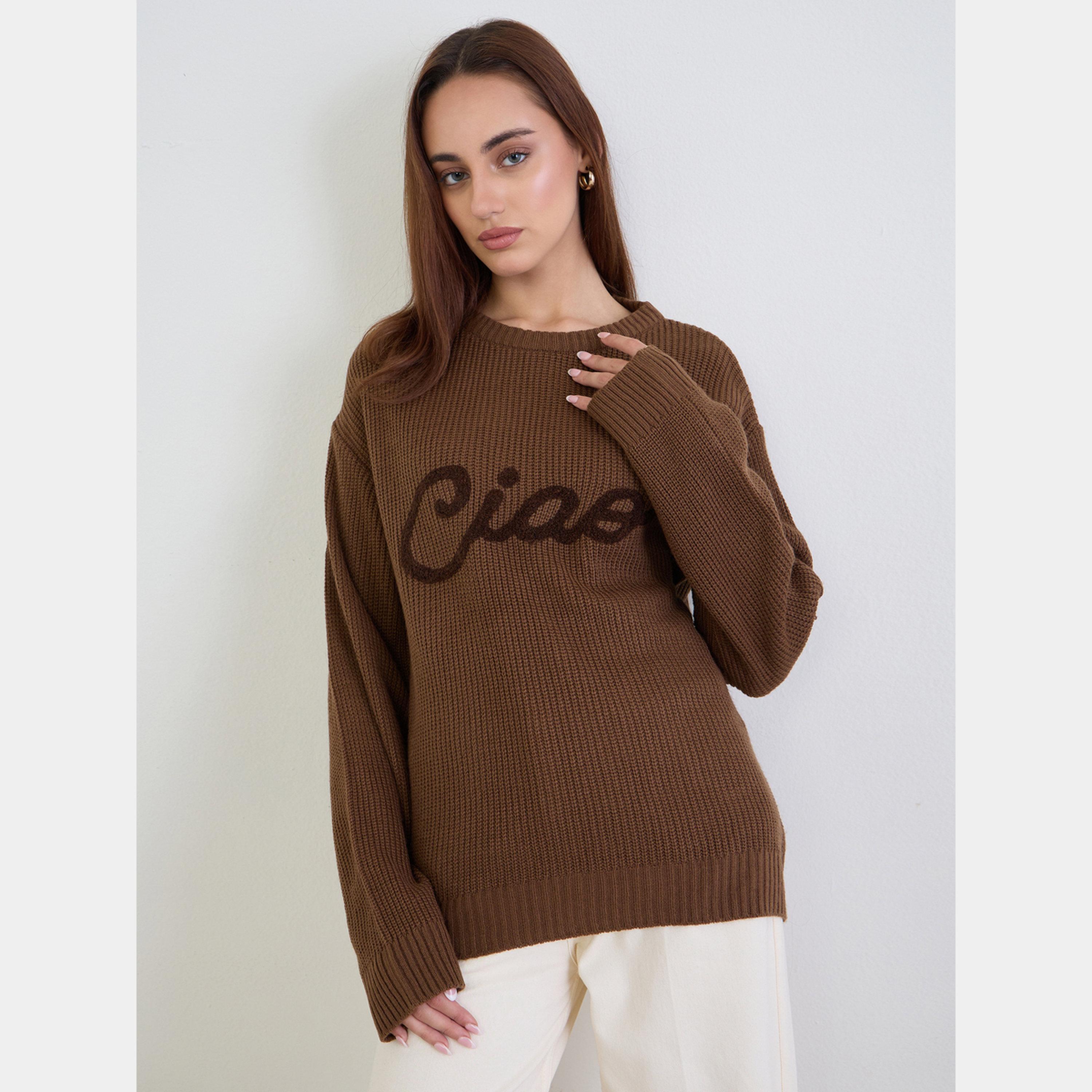 ستايلي - سترة نسائية مطرزة لون بني، ذات قصة عادية ورقبة دائرية وأكمام طويلة-women-winterwear-cardigansandjumpers-jumpers-image-1