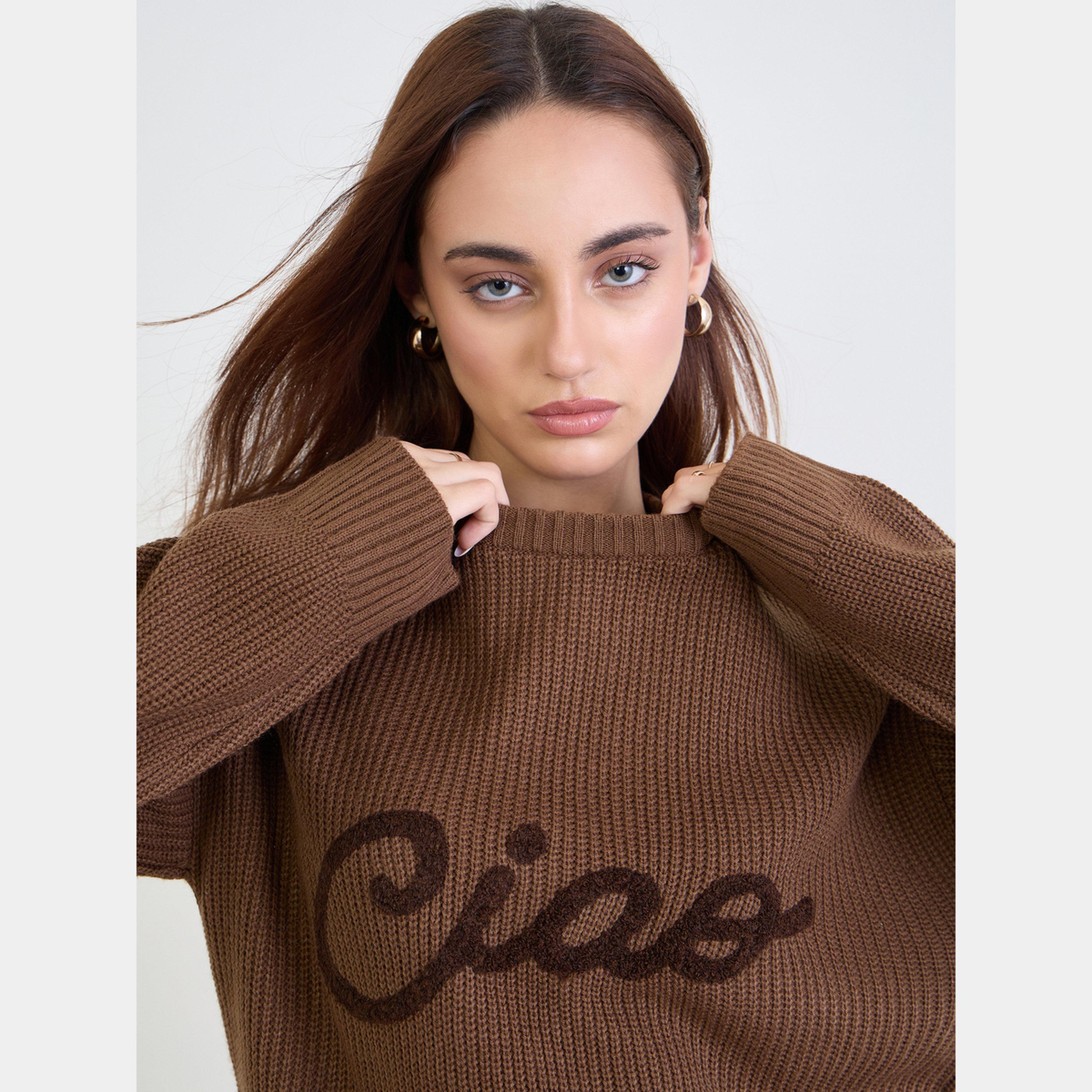 ستايلي - سترة نسائية مطرزة لون بني، ذات قصة عادية ورقبة دائرية وأكمام طويلة-women-winterwear-cardigansandjumpers-jumpers-image-3