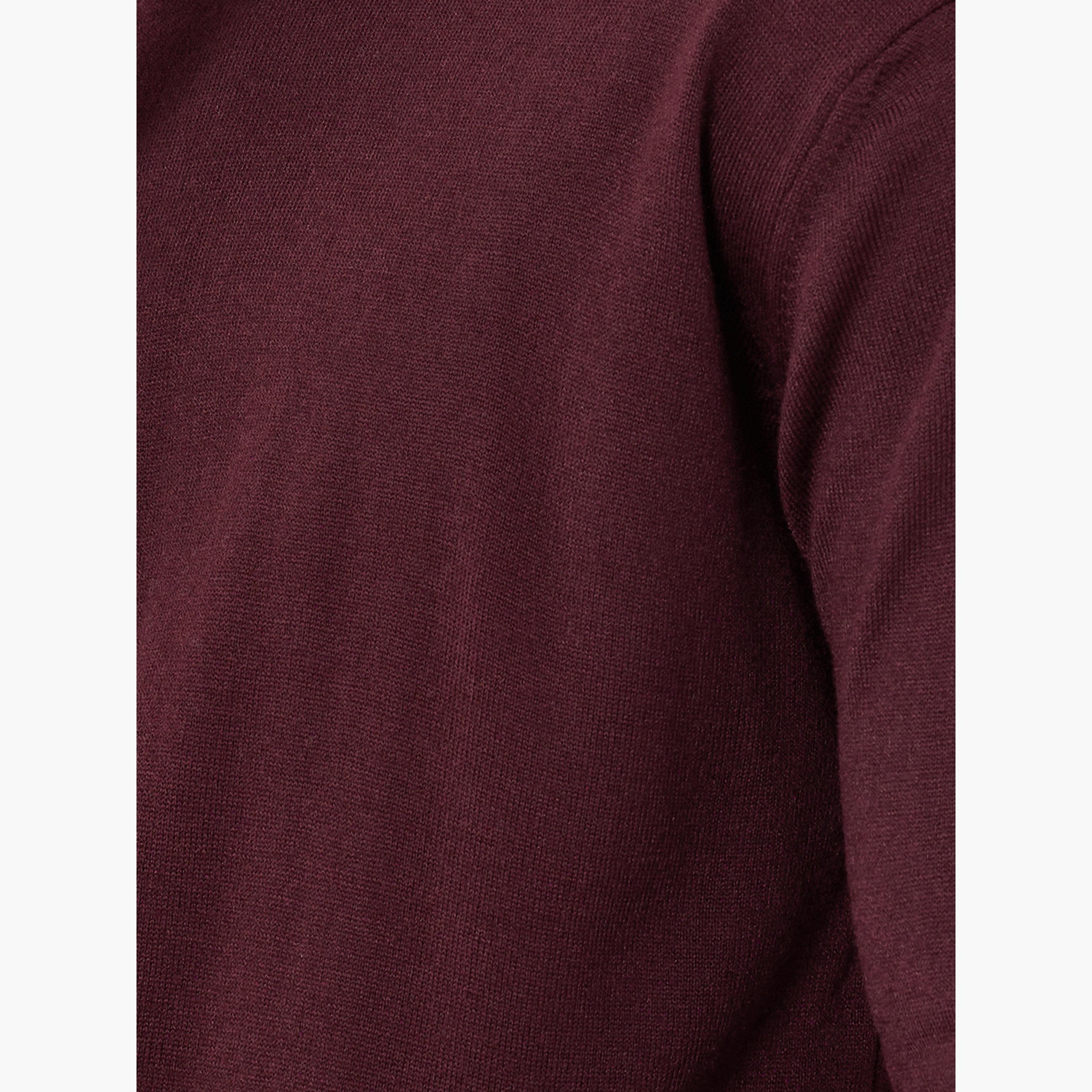 Styli Maroon Solid Turtle Neck Long Sleeves Men's Sweater-men-clothing-sweatersandpullovers-image-3