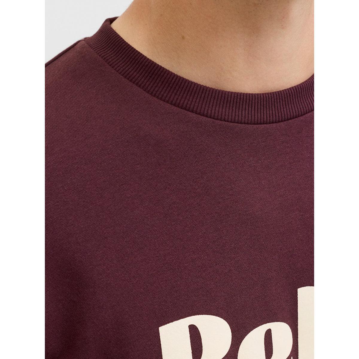 سويت شيرت بياقة دائرية وطبعة كتابة-men-clothing-hoodiesandsweatshirts-image-4
