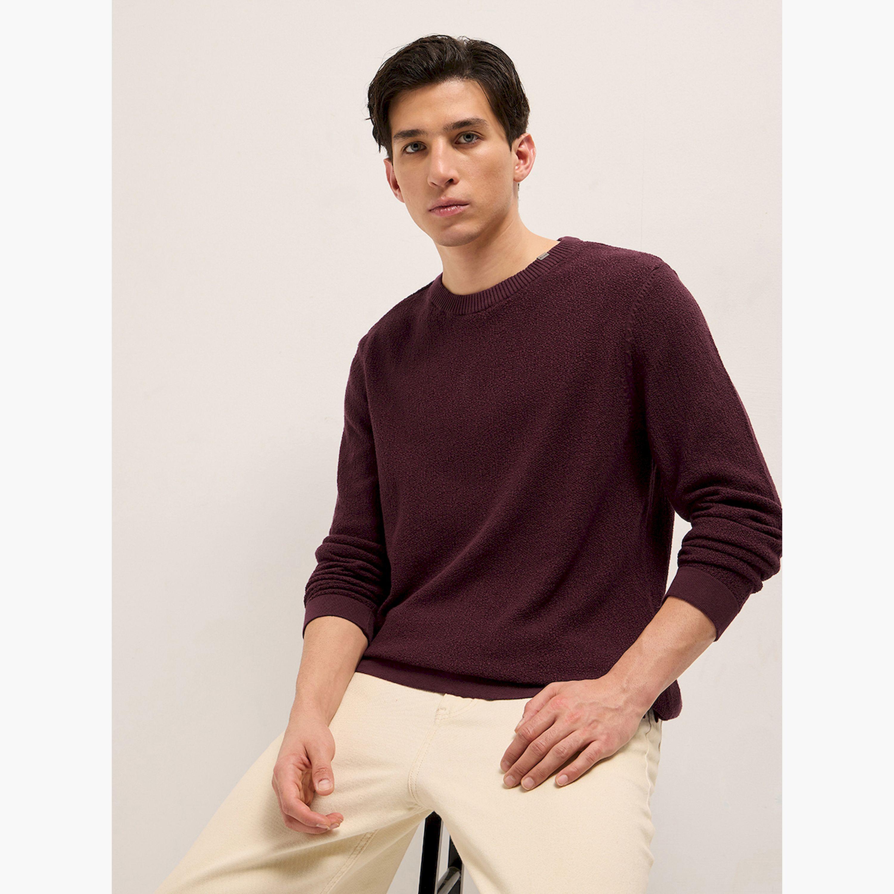 تيشيرت رجالي قطن خالص محبوك بارز الملمس-men-winterwear-hoodiesandsweatshirts-image-4