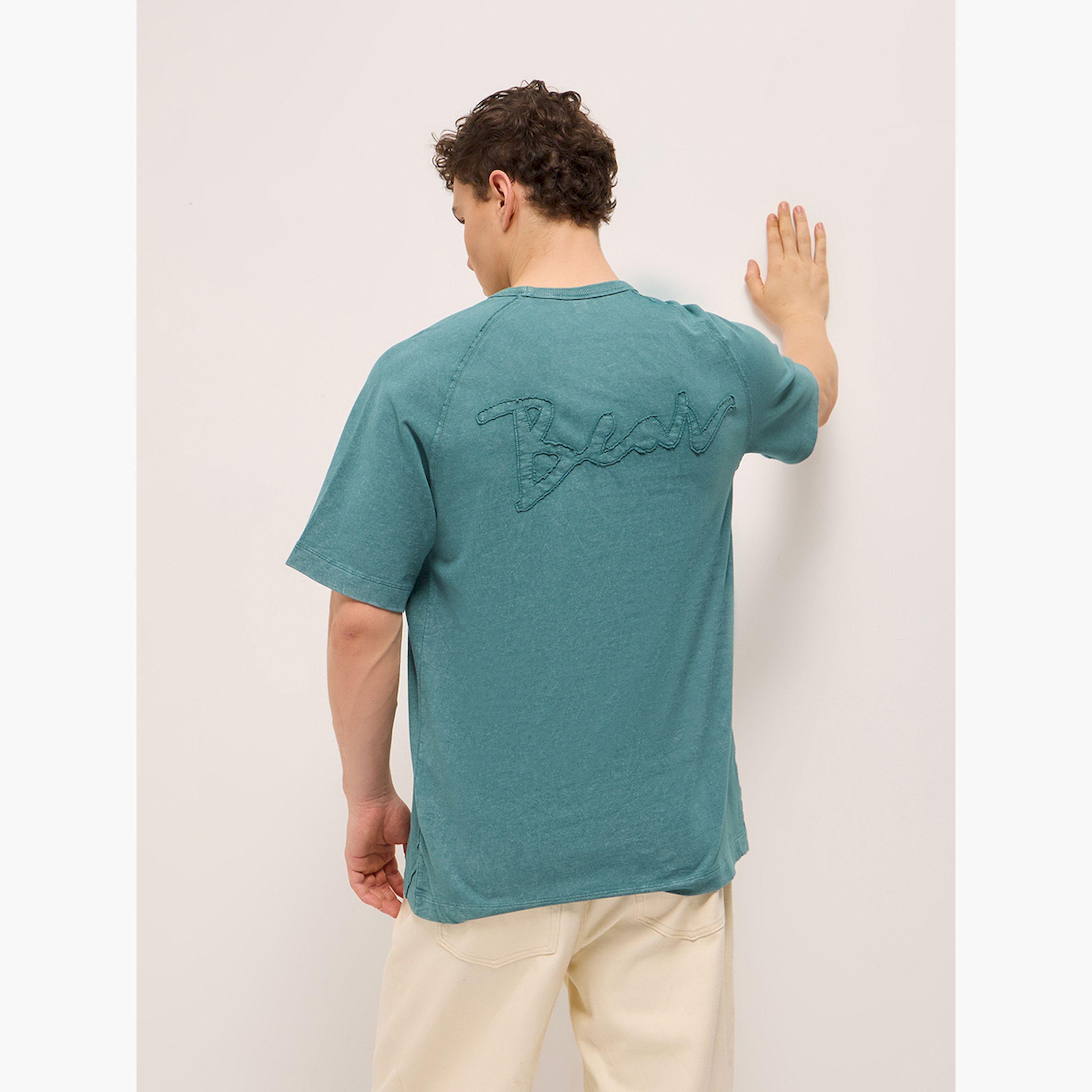 تيشيرت رجالي مغسول بأكمام ريجلان-men-clothing-tshirtsandpolos-tshirts-image-4
