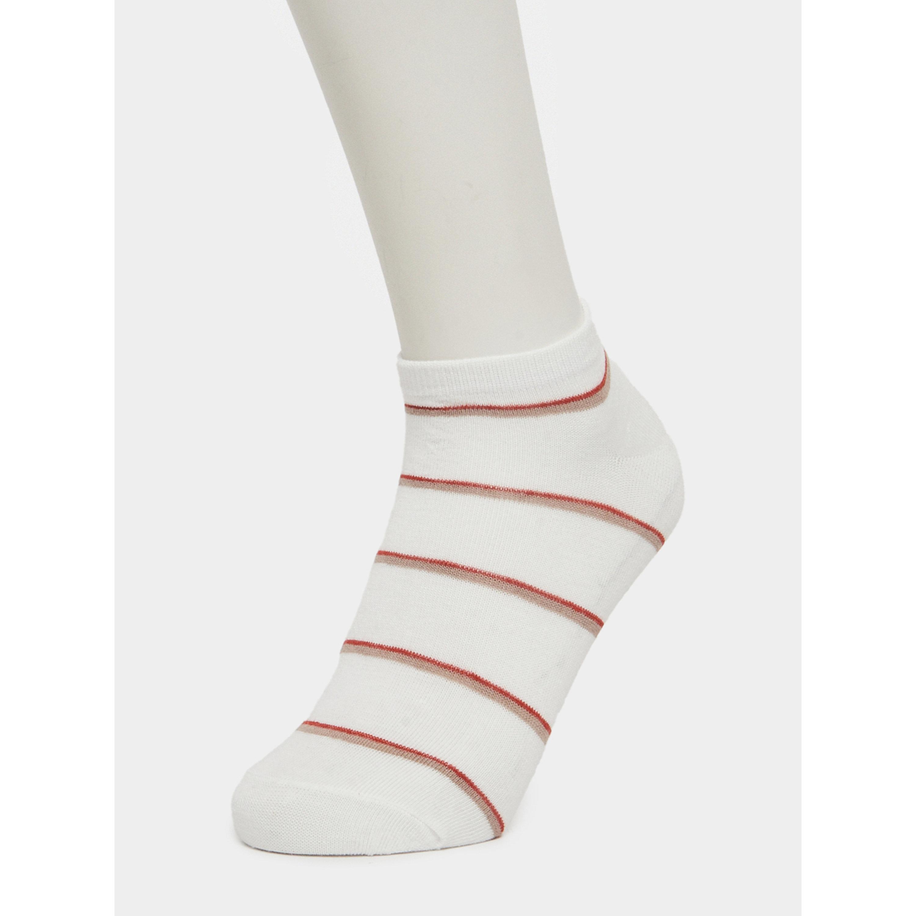 Styli Pack of 5 - Contrast Detail Ankle Socks-men-socks-image-6