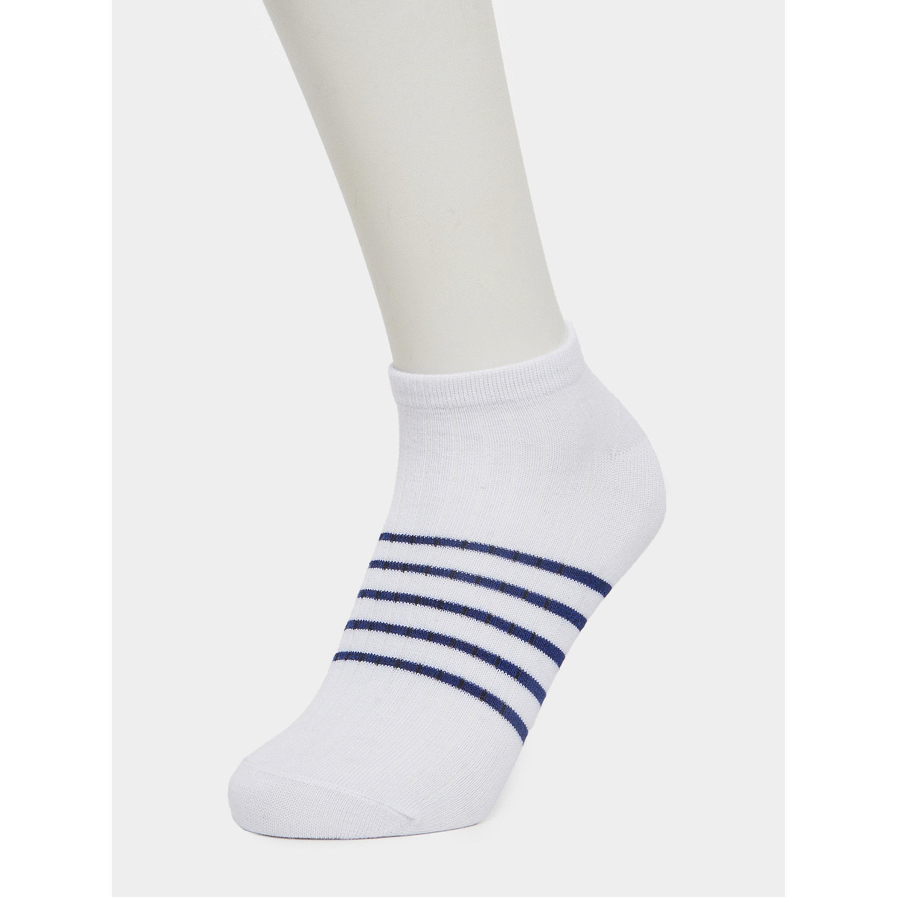 Styli Pack of 5 - Striped Detail Ankle Socks-men-socks-image-6
