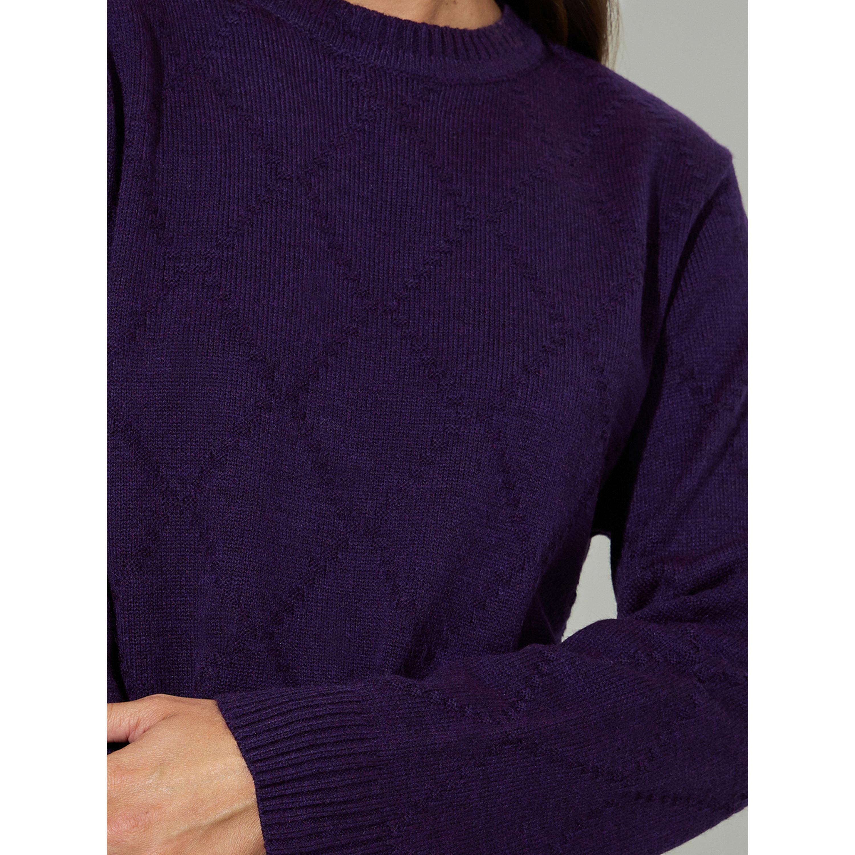 Styli Purple Textured Long Sleeves Regular Fit Sweater-women-winterwear-cardigansandjumpers-jumpers-image-5