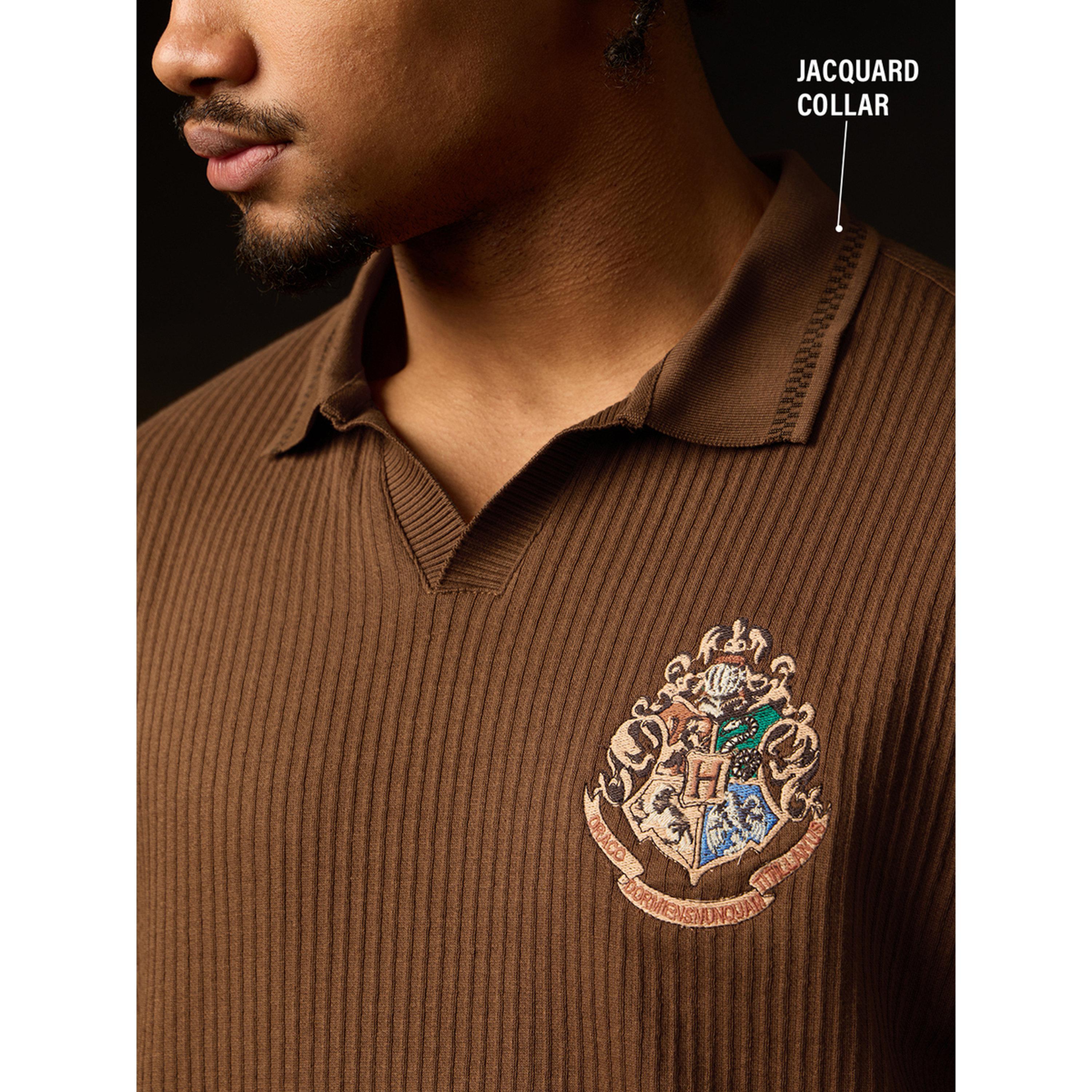 The Souled Store X Styli Men Brown Embroidered Seeker Polo T-Shirt-men-clothing-tshirtsandpolos-polos-image-4