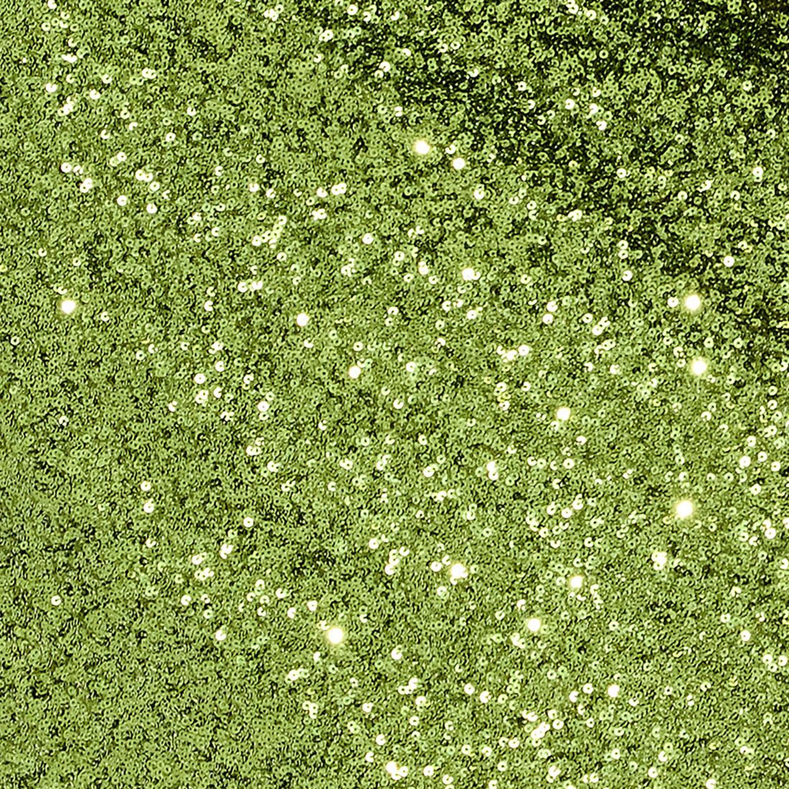French Connection Green Sequined Women's Evening Straight Midi Skirt-women-clothing-skirts-image-7