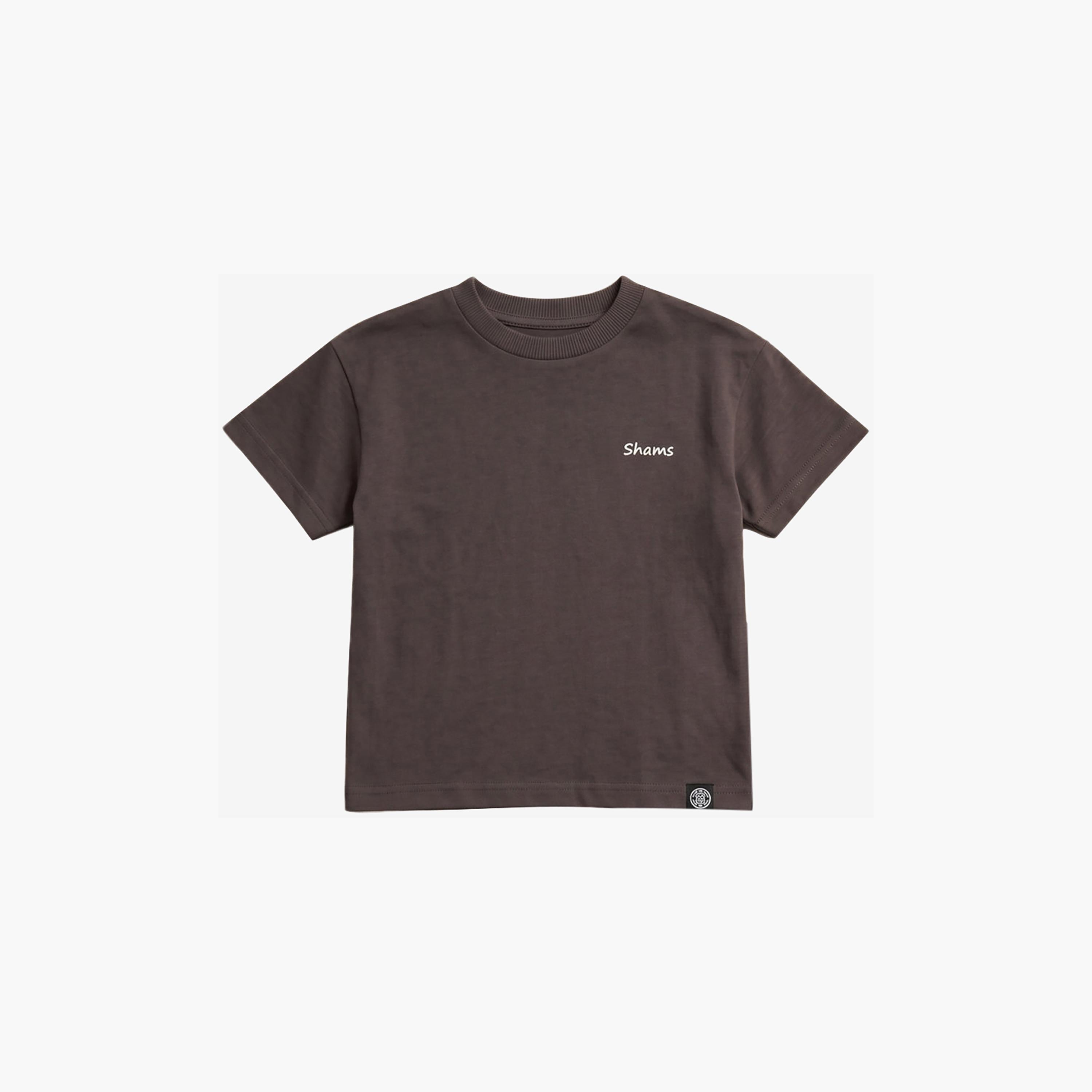 طقم تيشيرت بأكمام قصيرة وشورت كارغو من بيبيكلو-boys-clothing-setsandcoords-image-6