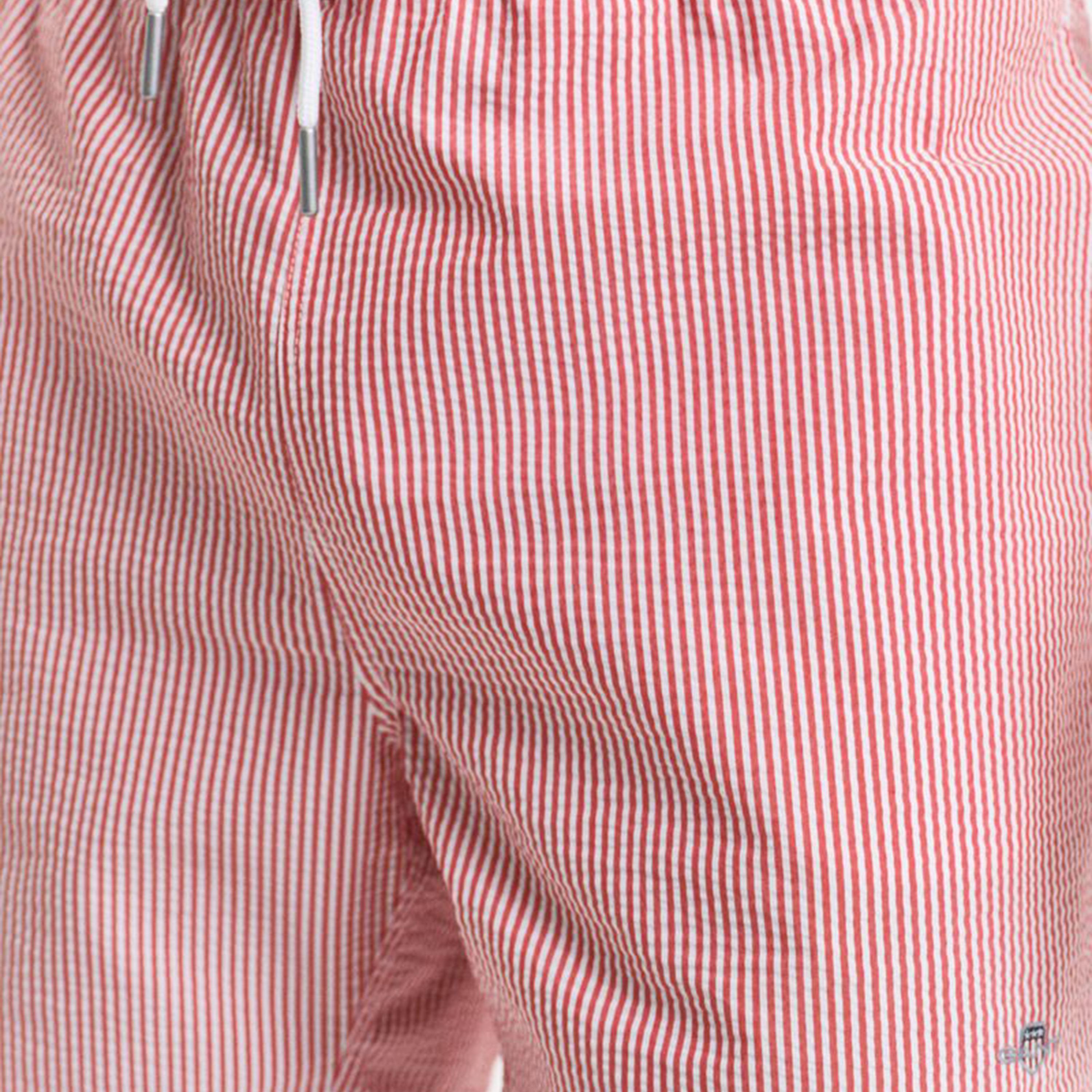 Gant Striped Mid-Rise Drawstring Men's Swim Shorts-sports-gear-swimming-men-image-3