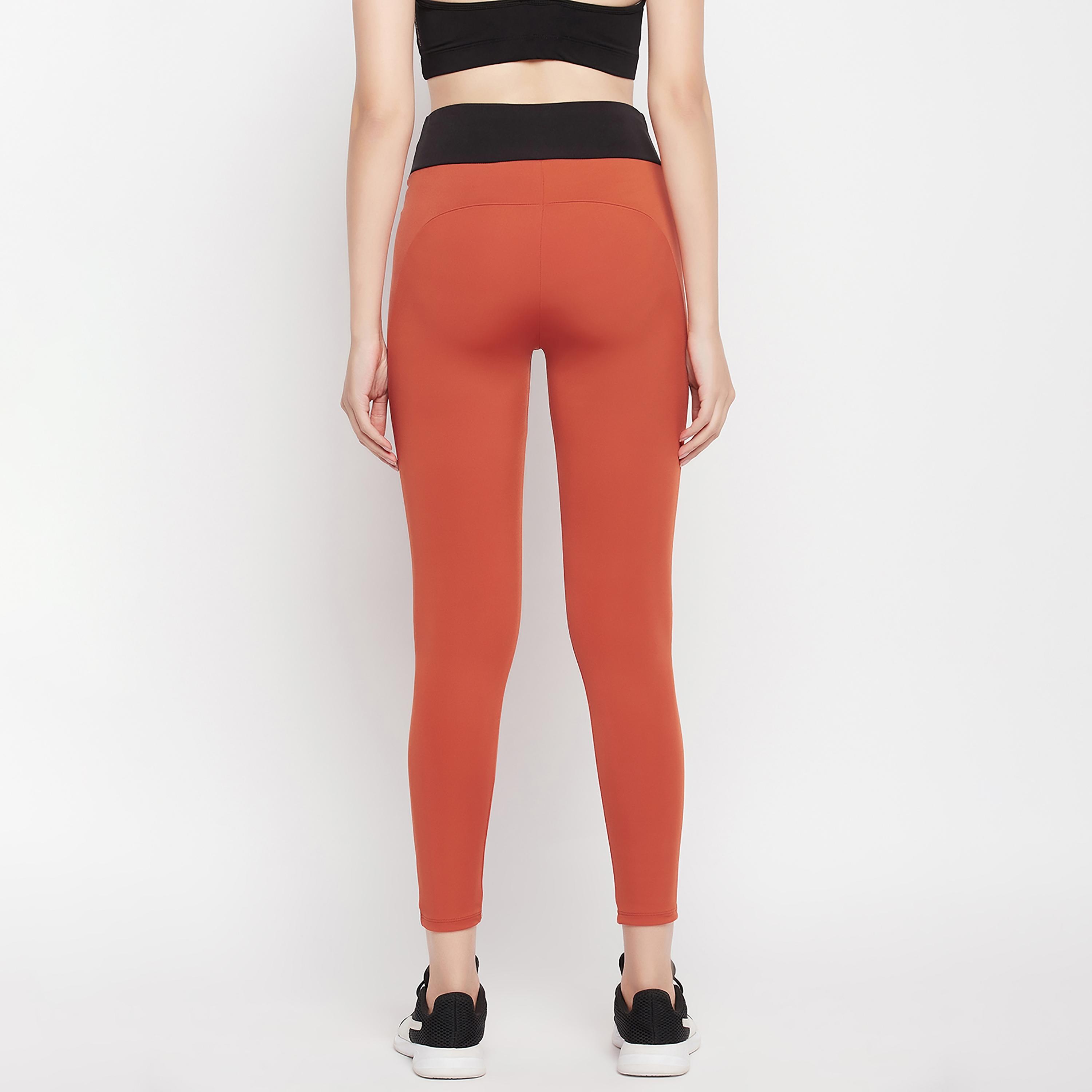 لباس ضيق سادة عالية الخصر من كلوفيا-women-clothing-sportswearandactivewear-bottoms-image-5