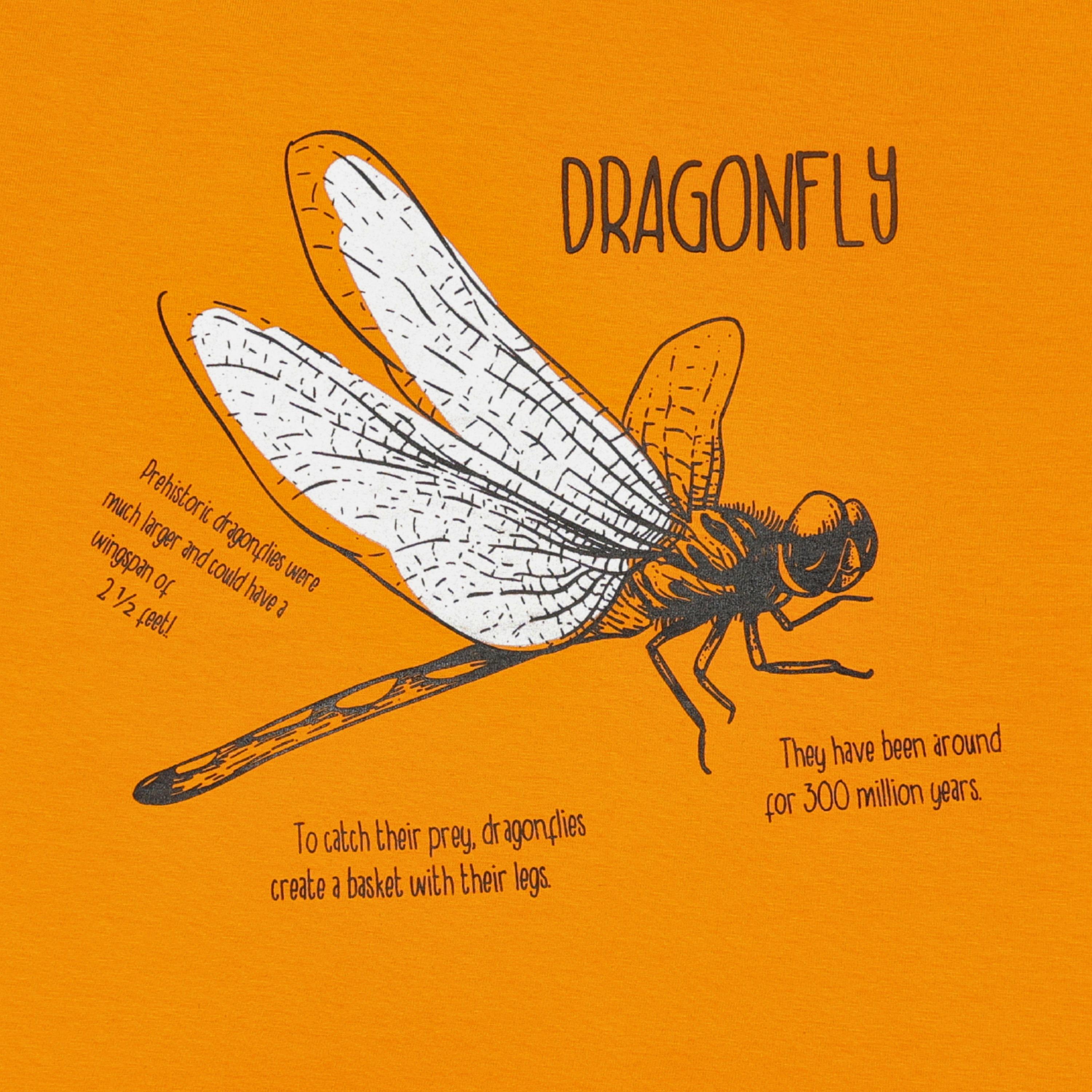 AIKO Dragonfly Printed Short Sleeves T-Shirt-boys-clothing-tshirtsandpolos-image-4