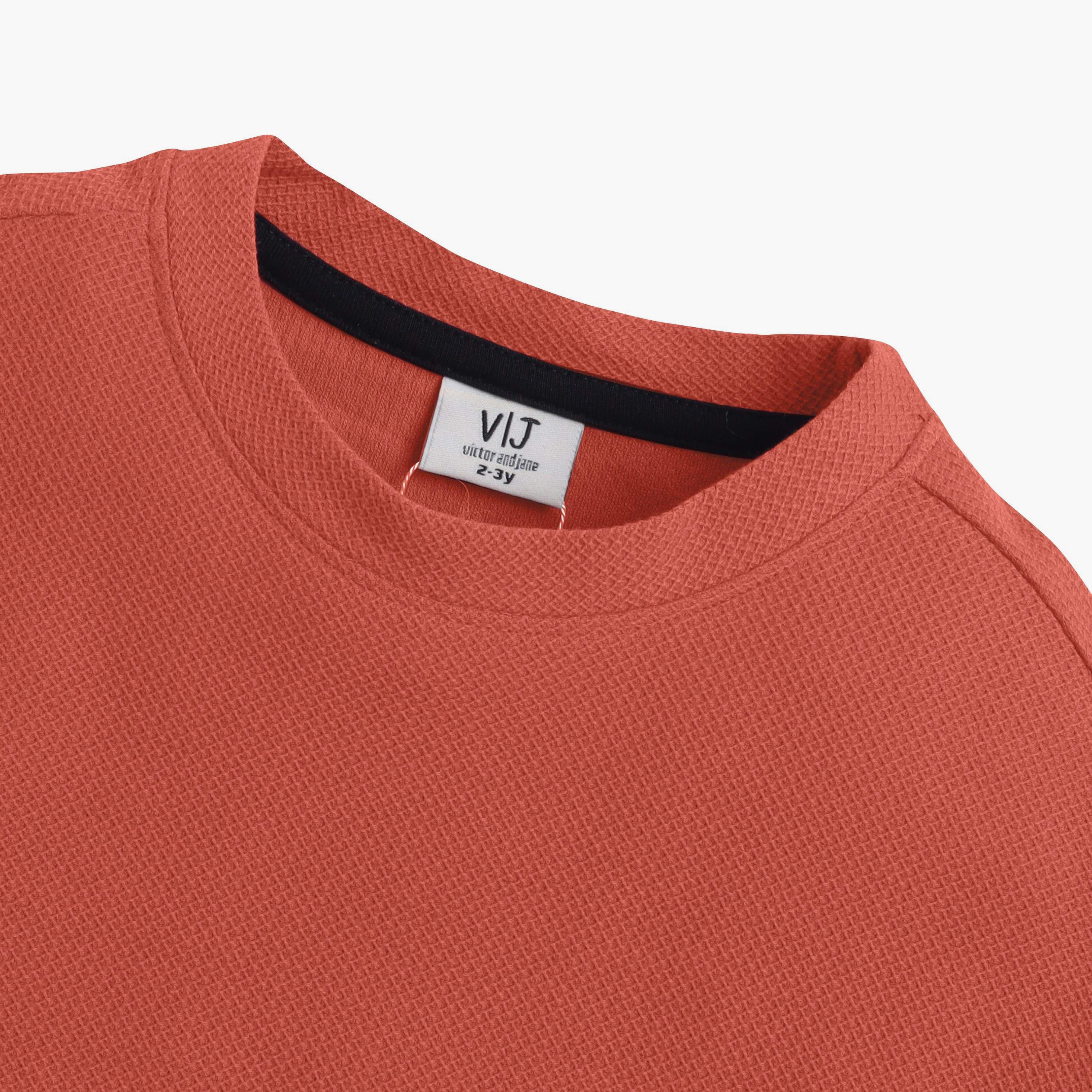 Victor and Jane Solid Short Sleeves T-Shirt-boys-clothing-tshirtsandpolos-image-5