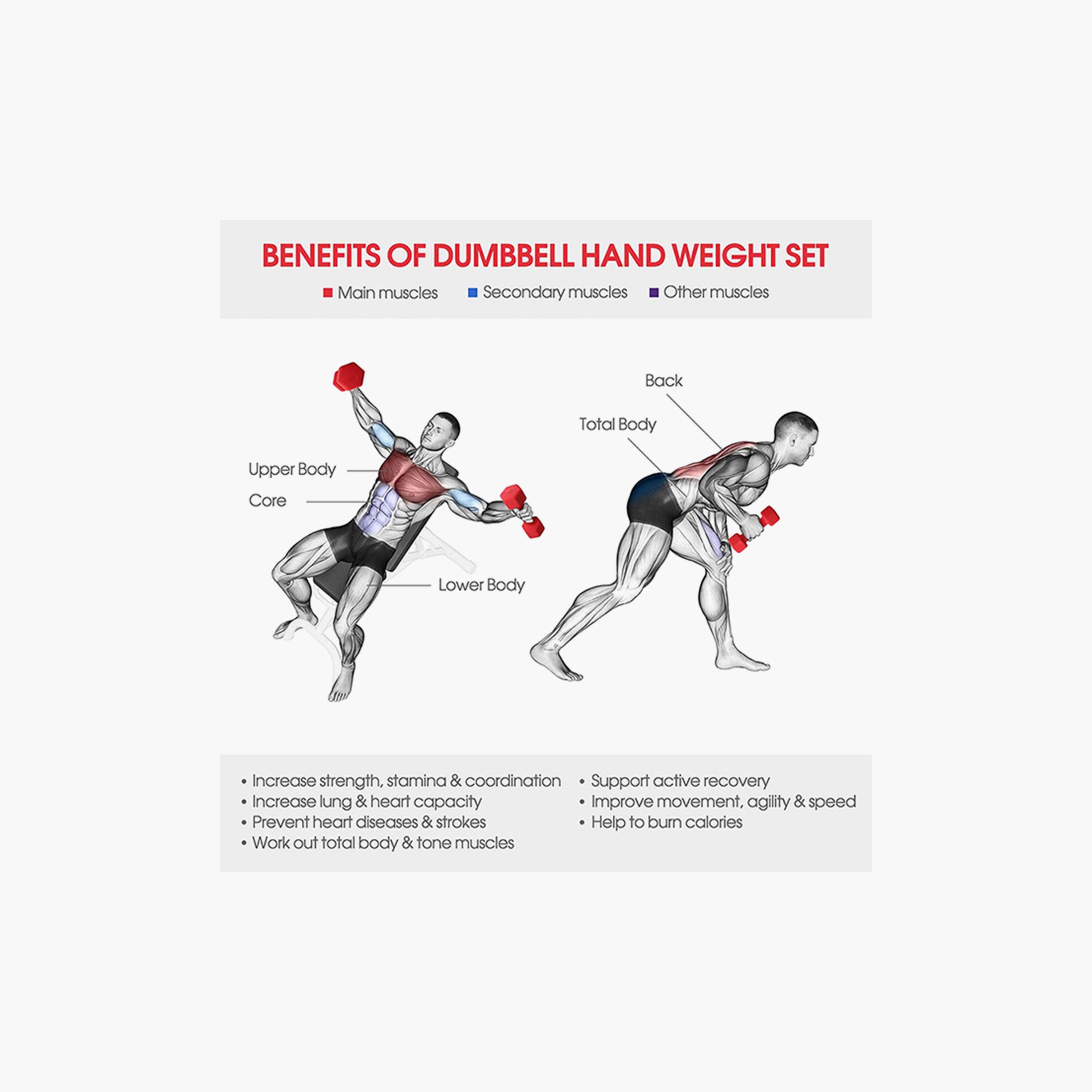 Vinyl Coated Fixed Weight Dumbbell, 2 Kg - Red-sports-gear-gym-image-4