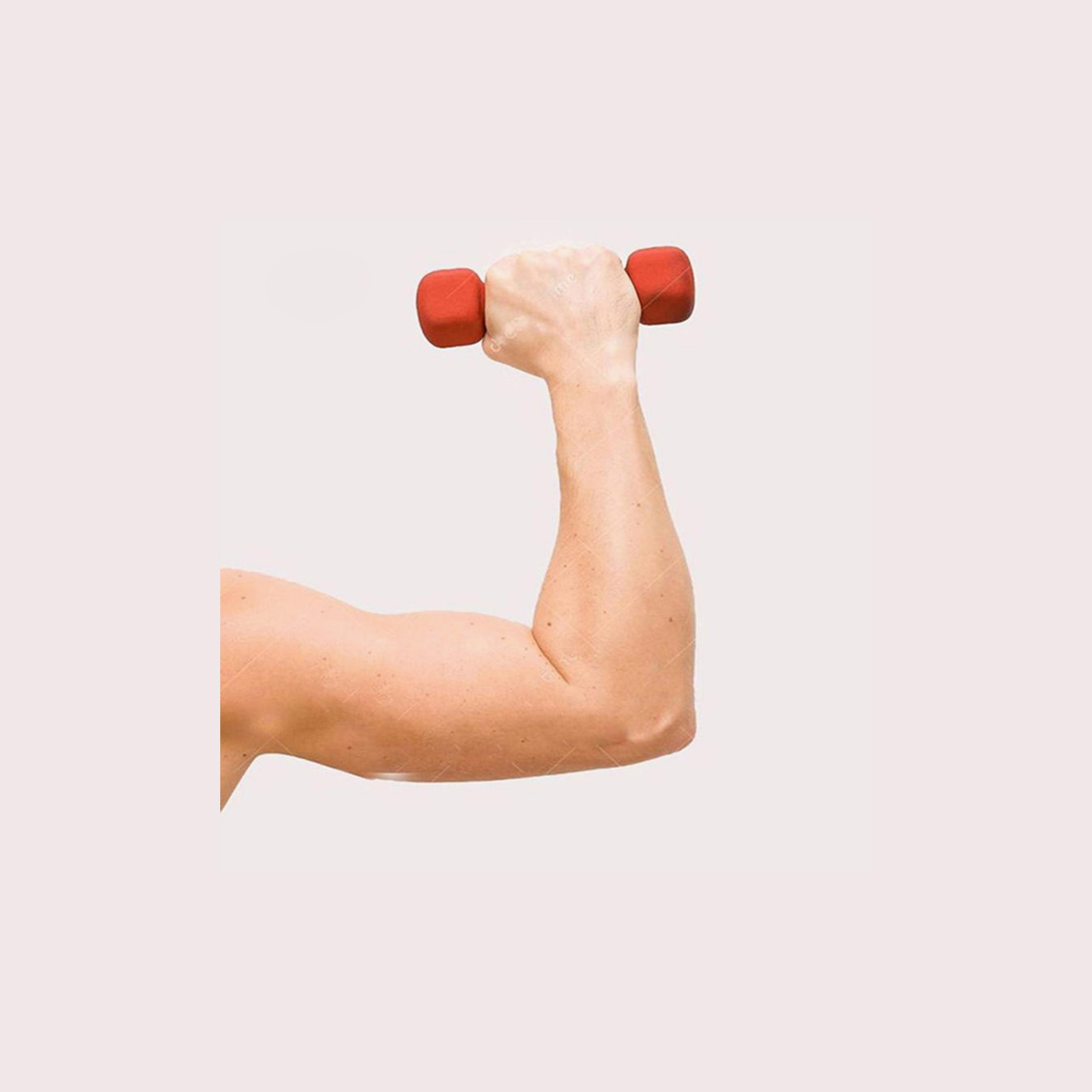 Weight Lifting Dumbbells, 2 Kg - Red -sports-gear-gym-image-2