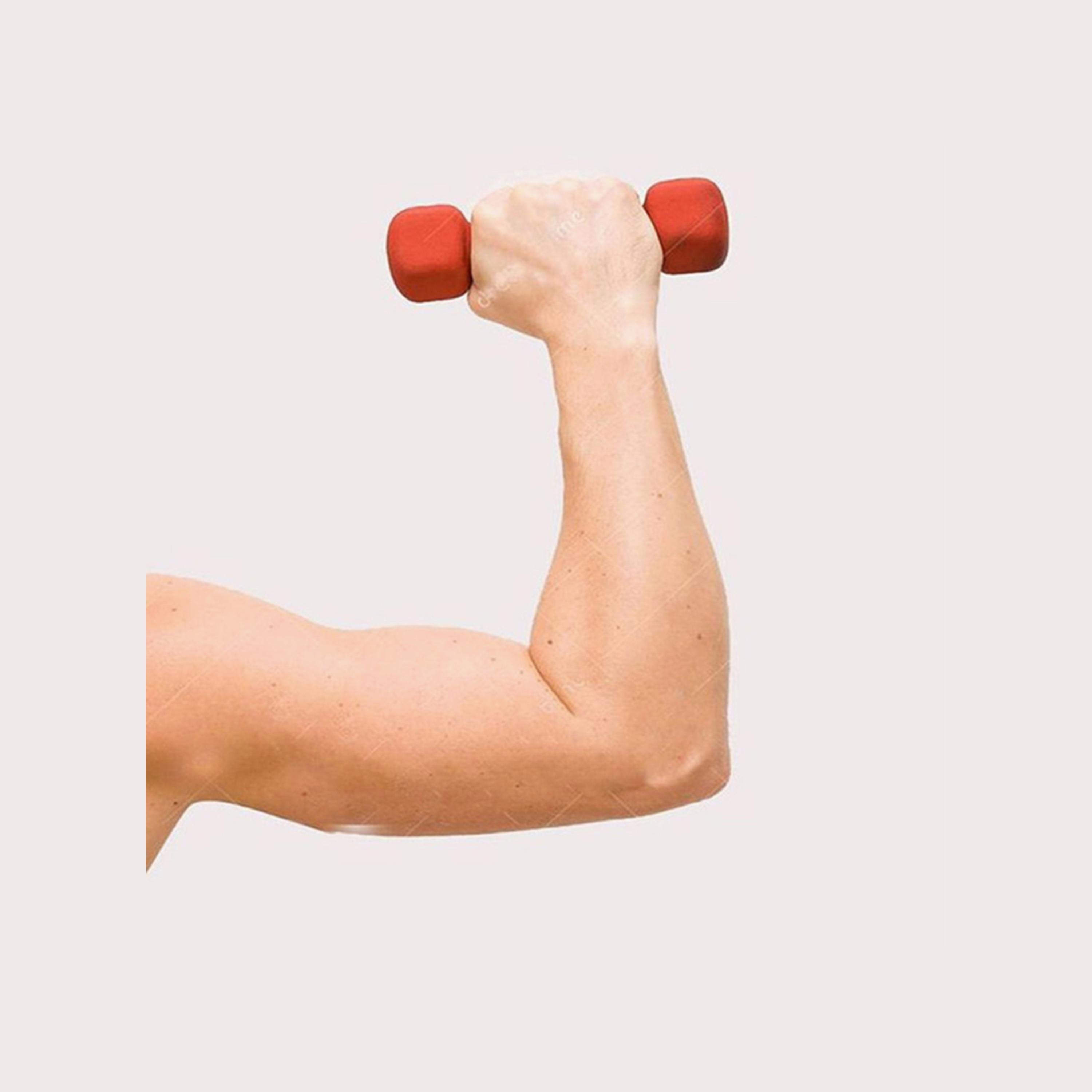 Dumbbell, 1 Kg - Red-sports-gear-gym-image-2