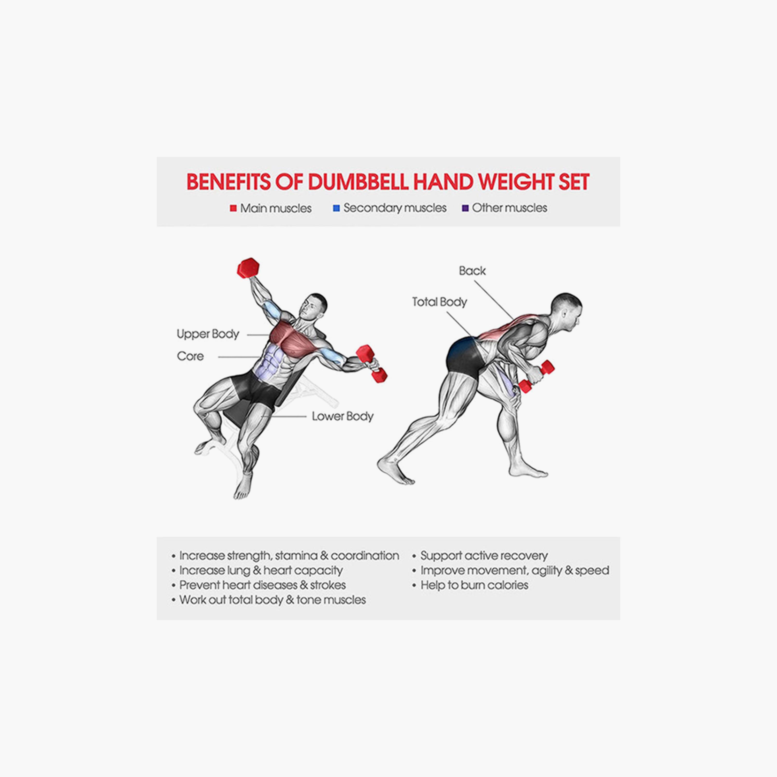 Gym Dumbbell, 2 Kg - Red-sports-gear-gym-image-4