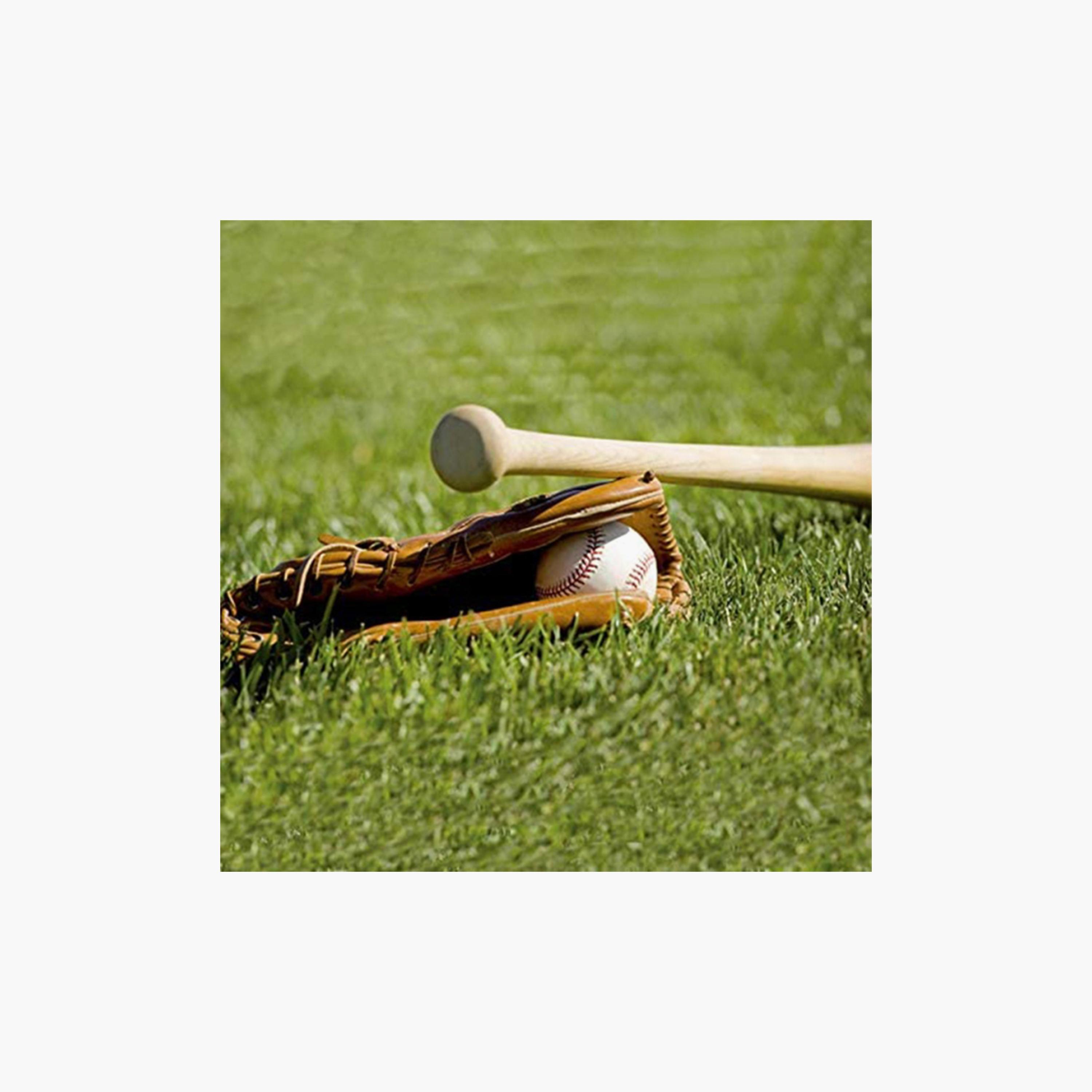 Wooden Baseball Bat, 64 cm - Brown-sports-gear-gym-image-2