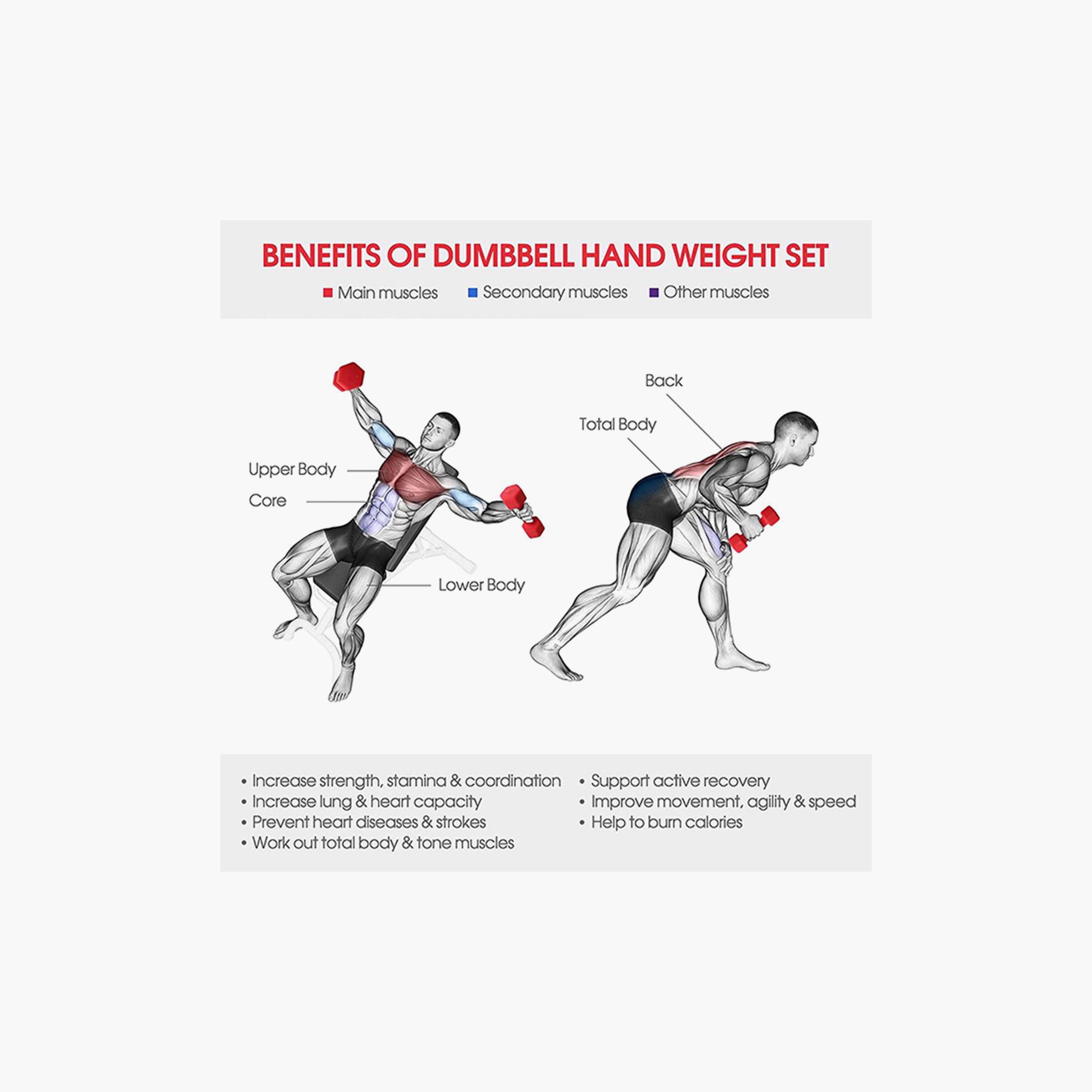 Muscle Sculpting Dumbbell, 6 Kg - Red-sports-gear-gym-image-4