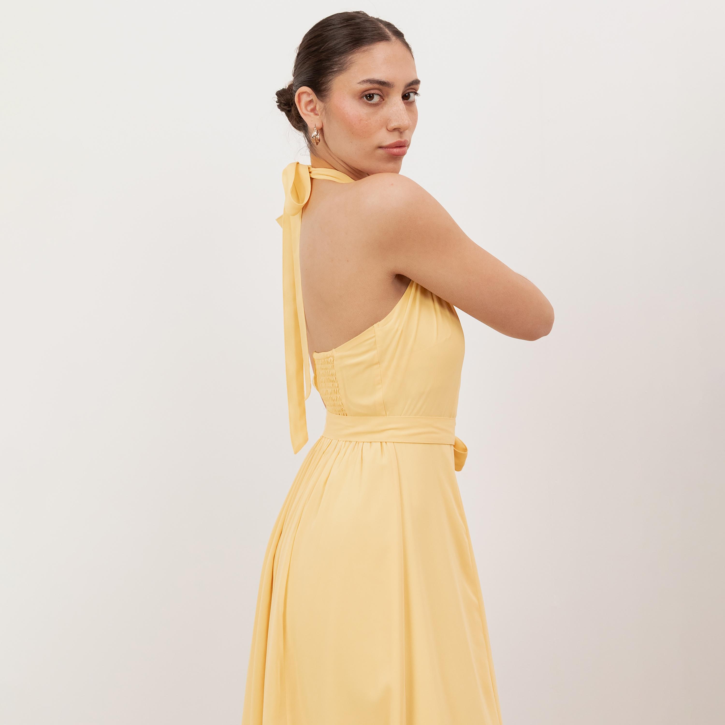 Anaya With Love Recycled Butter Yellow Georgette Halter Neck Fit & Flared Women's Maxi Dress-women-clothing-dresses-image-5