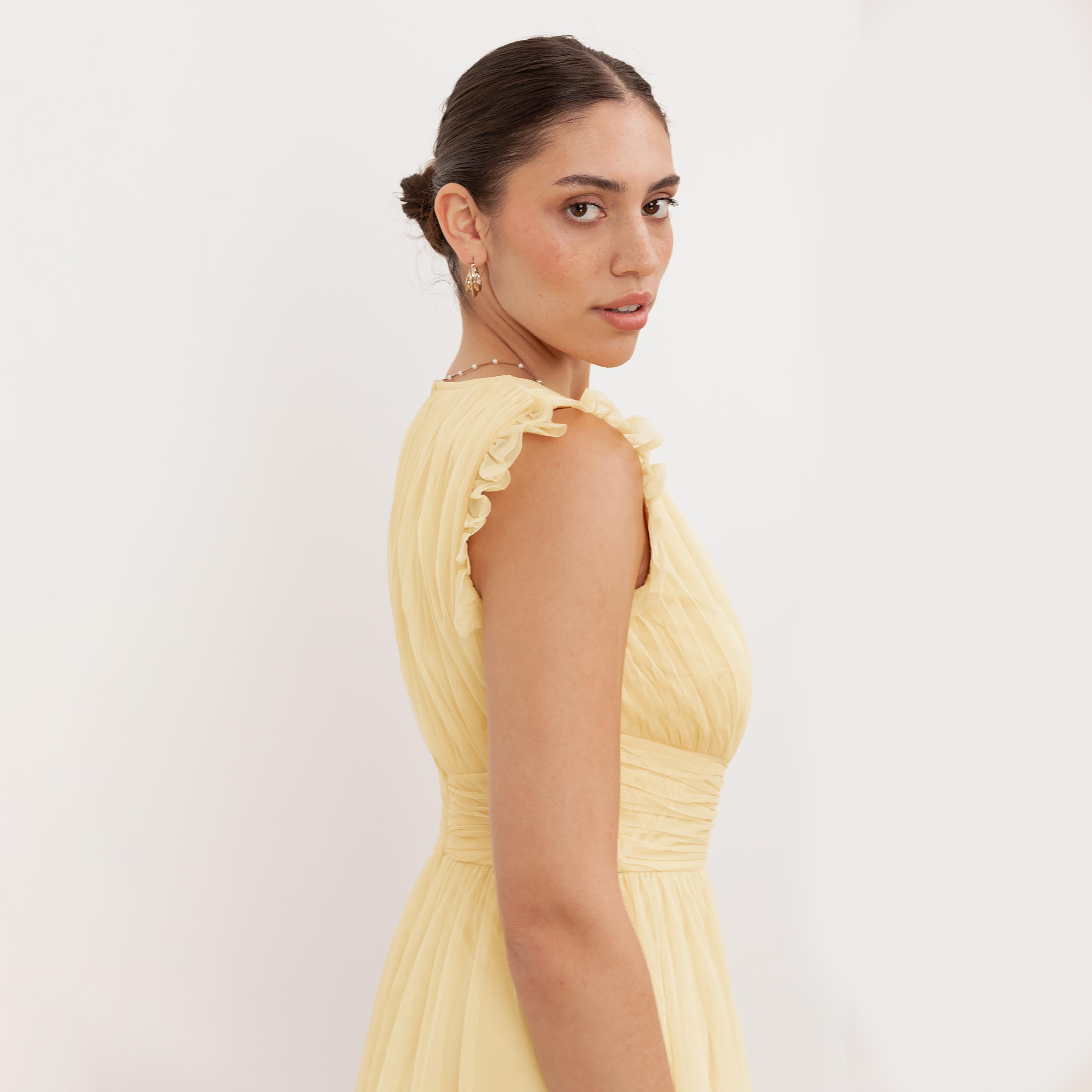 Anaya With Love Butter Yellow Tulle Ruffled Women's Maxi Dress-women-clothing-dresses-image-4
