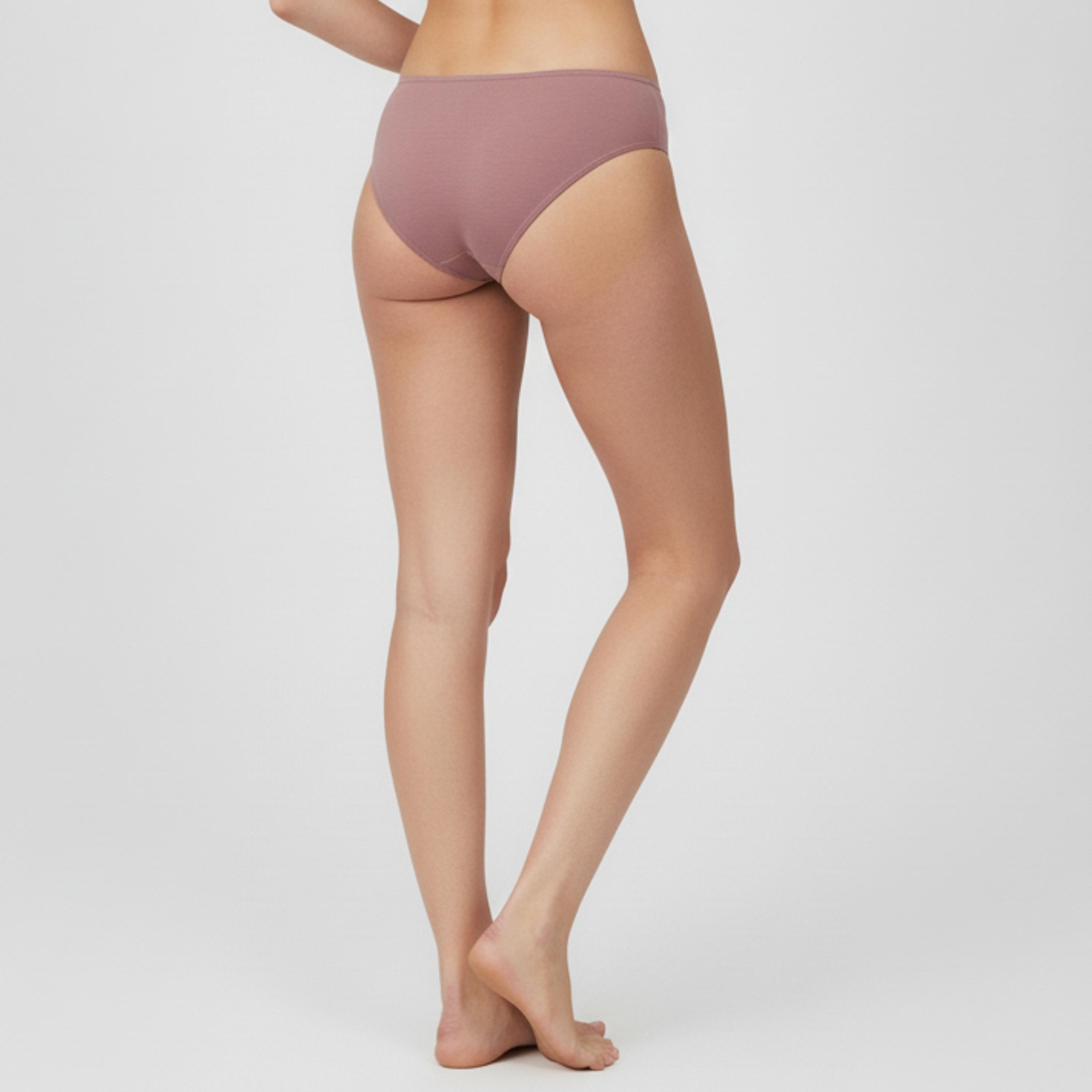Penti Pack of 3 Earth Tones Multicolor Plain Medium Coverage Women's Hipster Panties-women-clothing-lingerie-panties-image-4