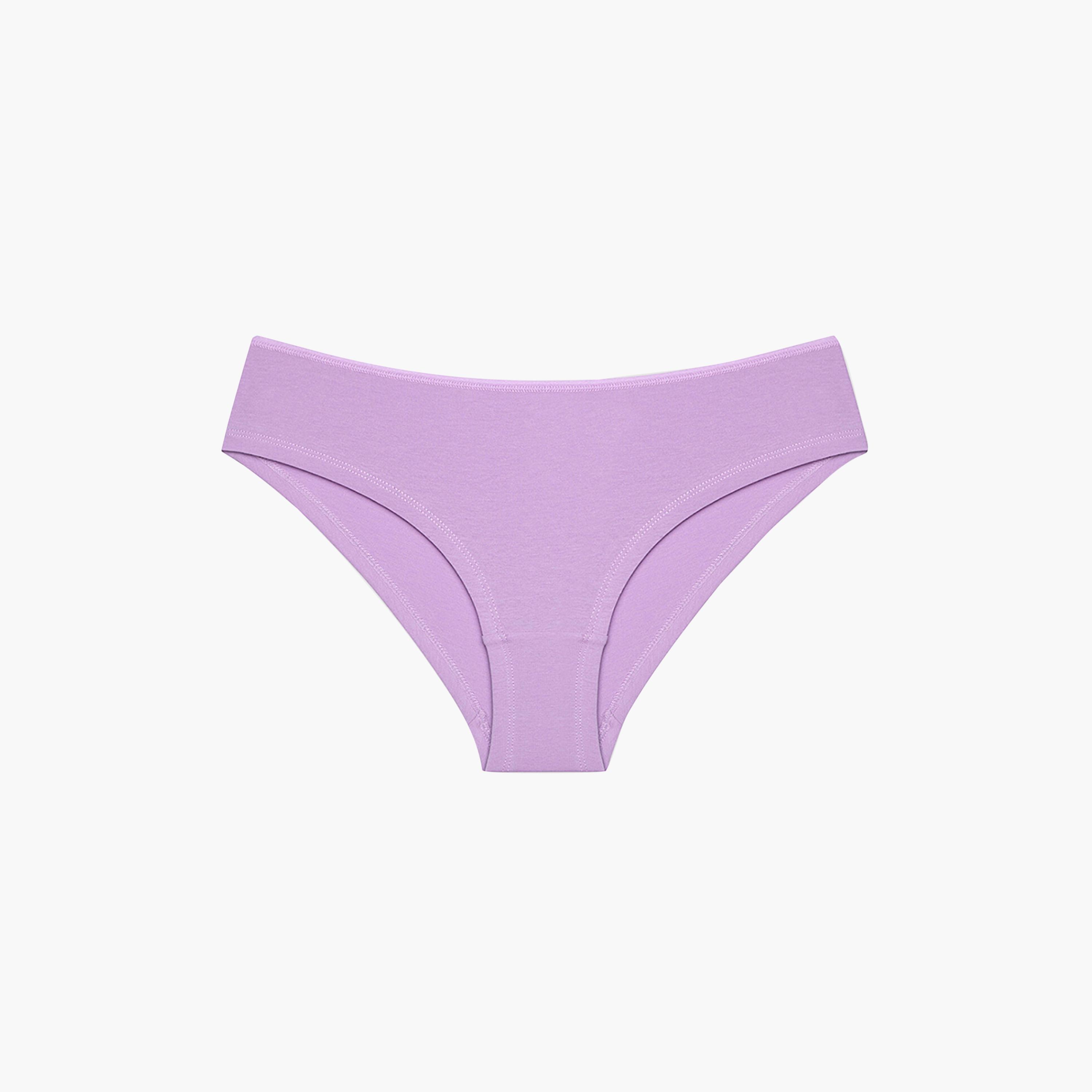 Penti Pack of 3 Vintage Flora Multicolour Medium Coverage Women's Hipster Panty-women-clothing-lingerie-panties-image-3