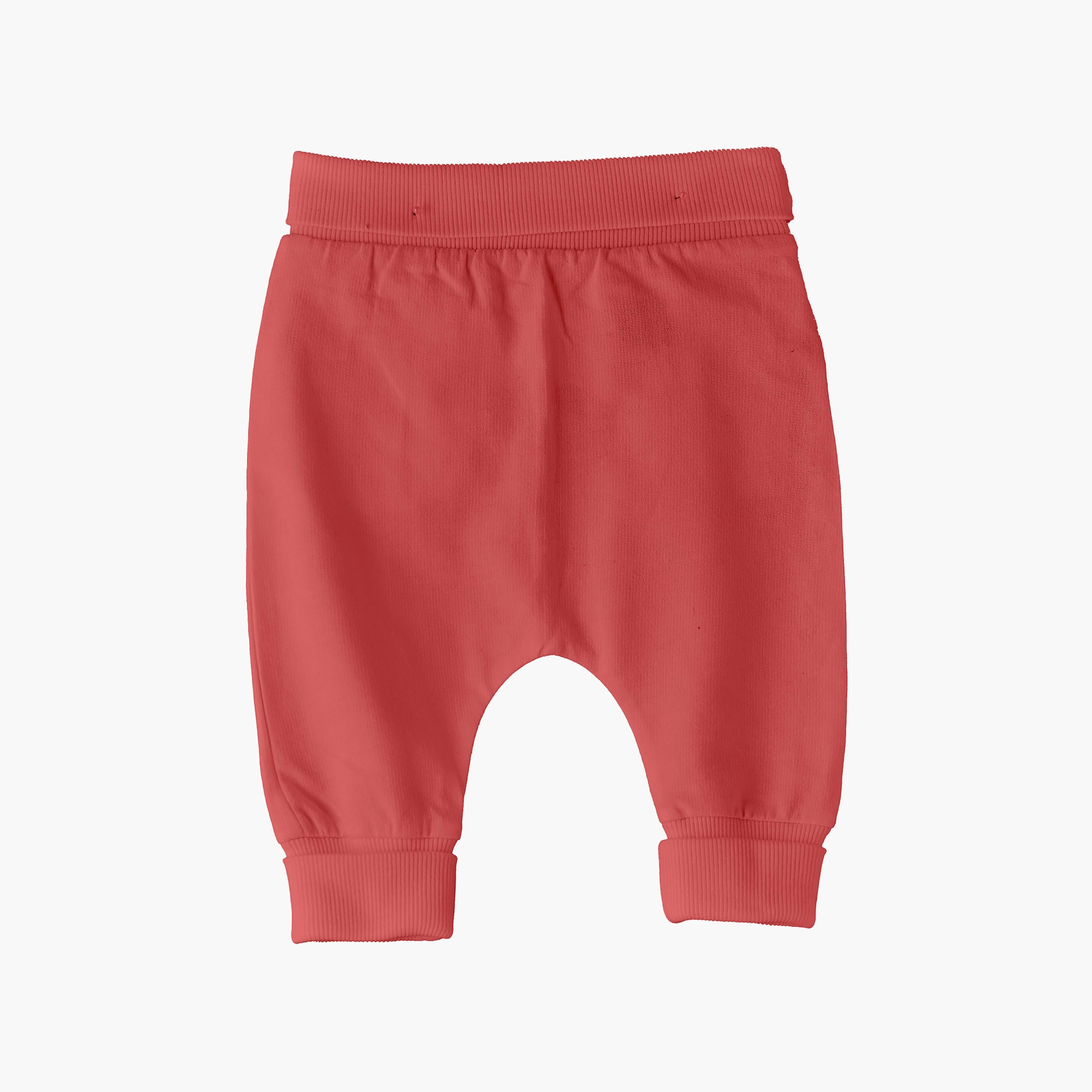 UniqKidz Solid Elasticated Pants-baby-girls-clothing-bottoms-trousers-image-2