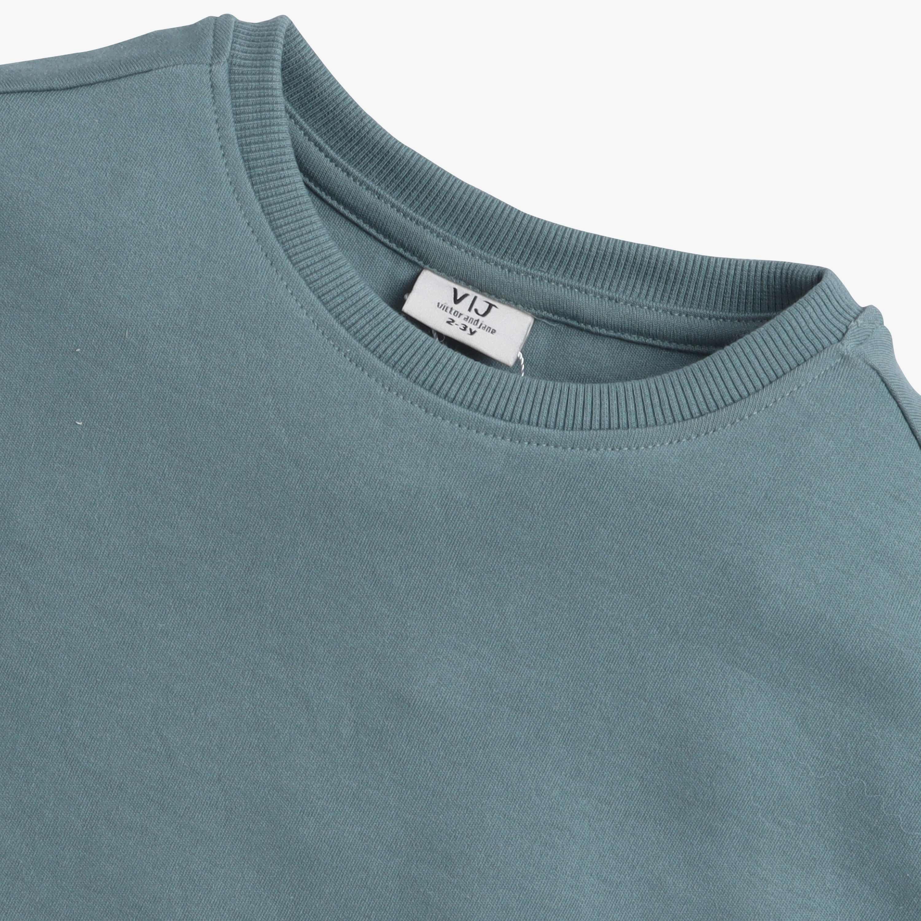 Victor and Jane Solid Short Sleeves T-Shirt with Shorts-baby-boys-clothing-setsandcoords-image-5
