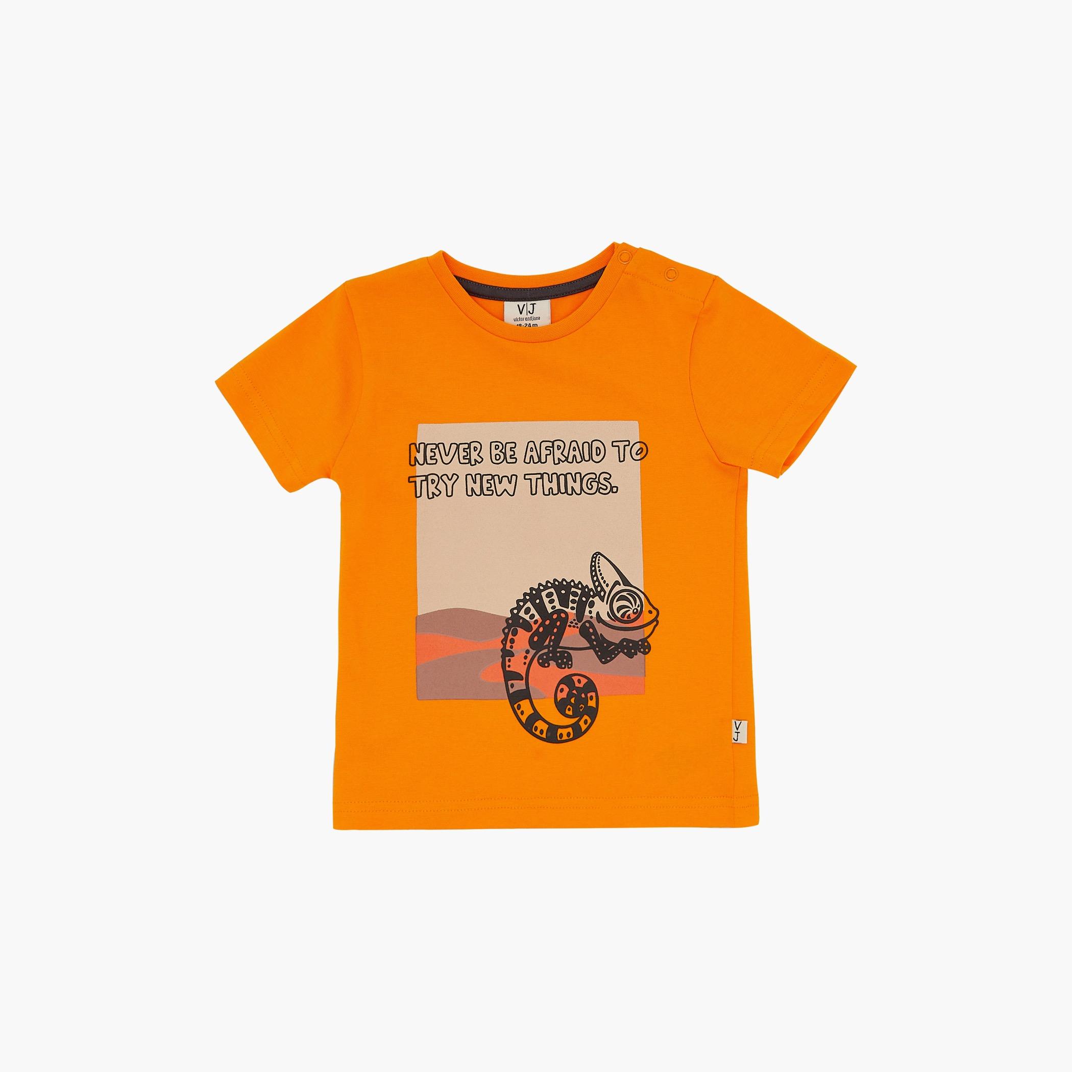 Victor and Jane Printed Short Sleeves T-Shirt with Joggers-baby-boys-clothing-setsandcoords-image-4