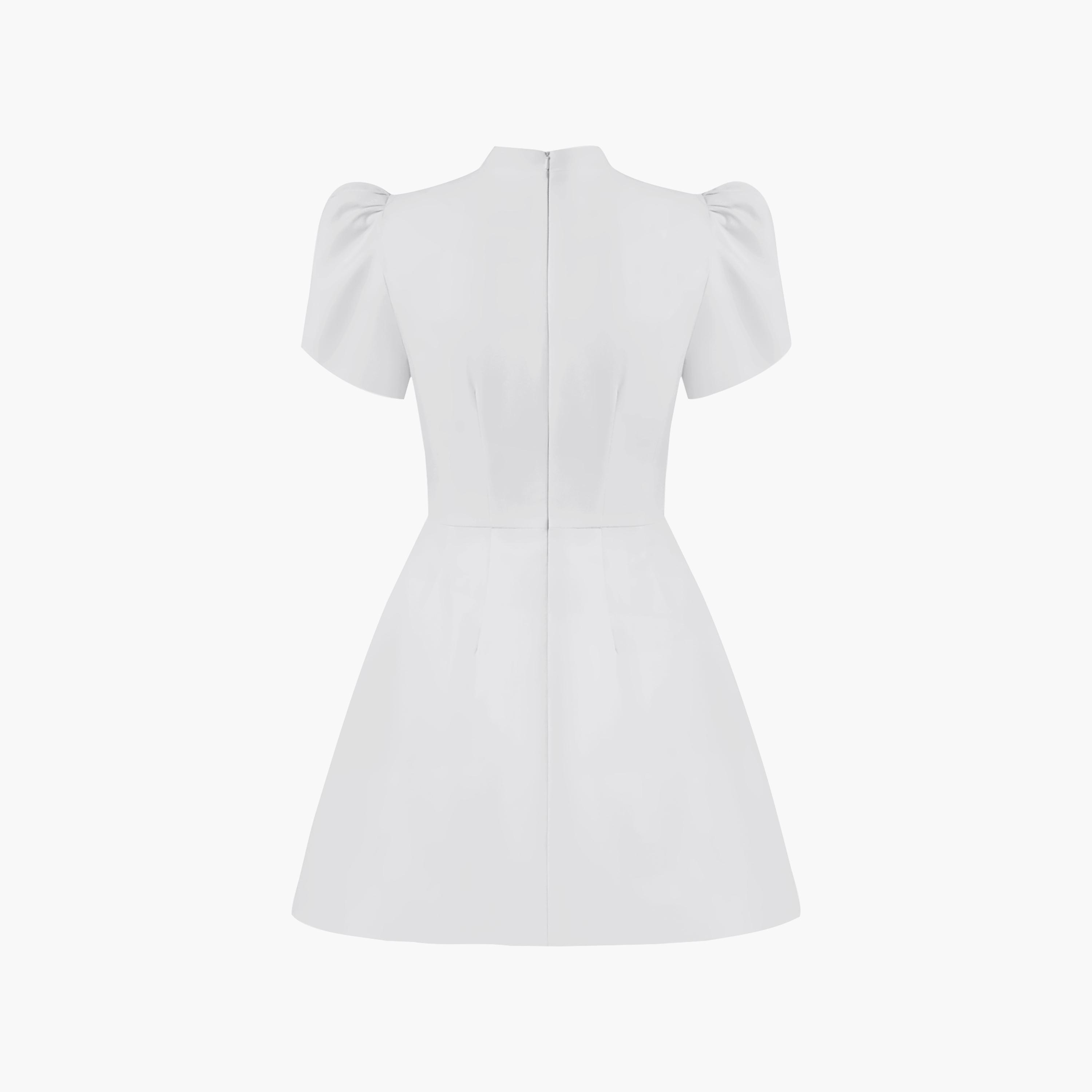 Lichi Mandarin Collar Puff Sleeves Women's Mini Dress-women-clothing-dresses-image-5