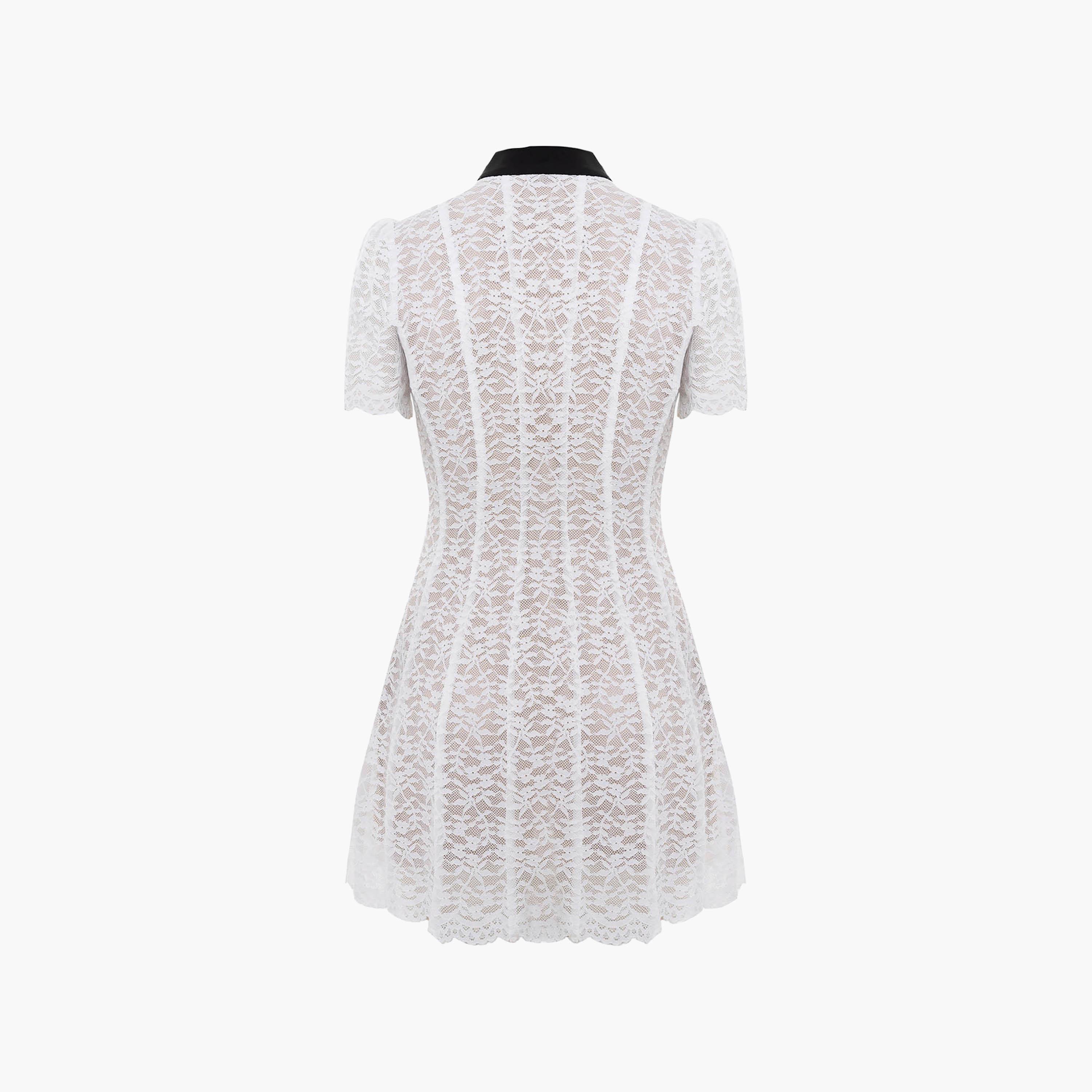 Lichi White All-Over Lace Contrast Mandarin Collar Sheath Women's Mini Dress-women-clothing-dresses-image-5