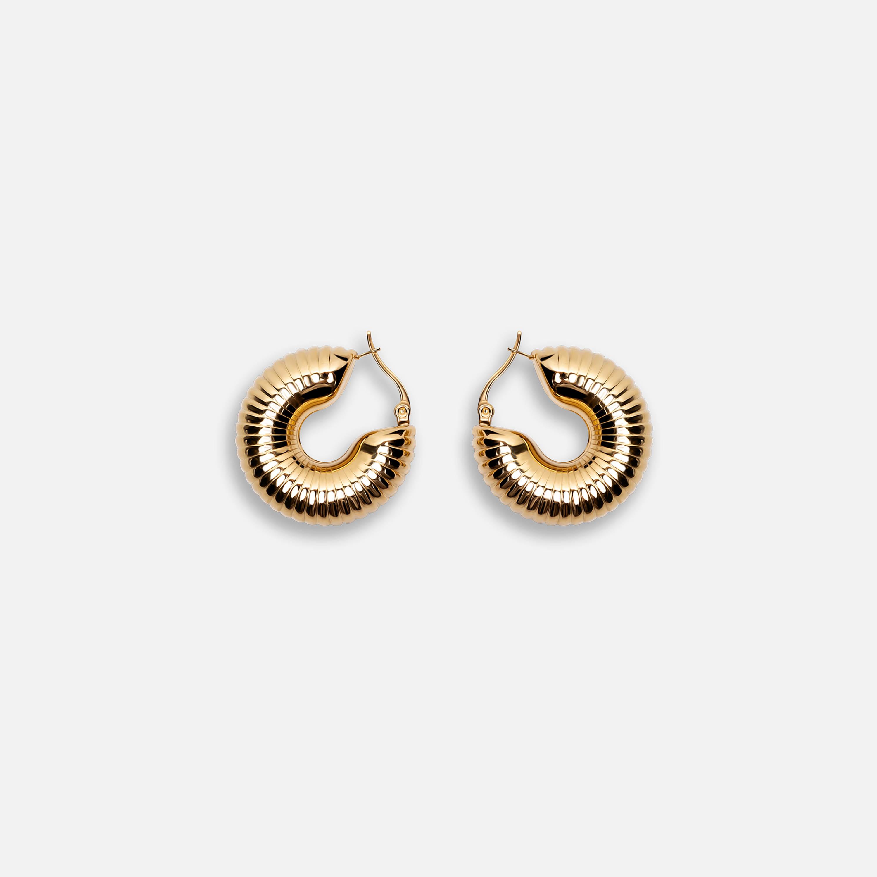 أقراط ليتشي ذهبية حلقية للنساء من الستانلس ستيل | ear0555-women-watchesandjewellery-jewellery-earrings-image-2