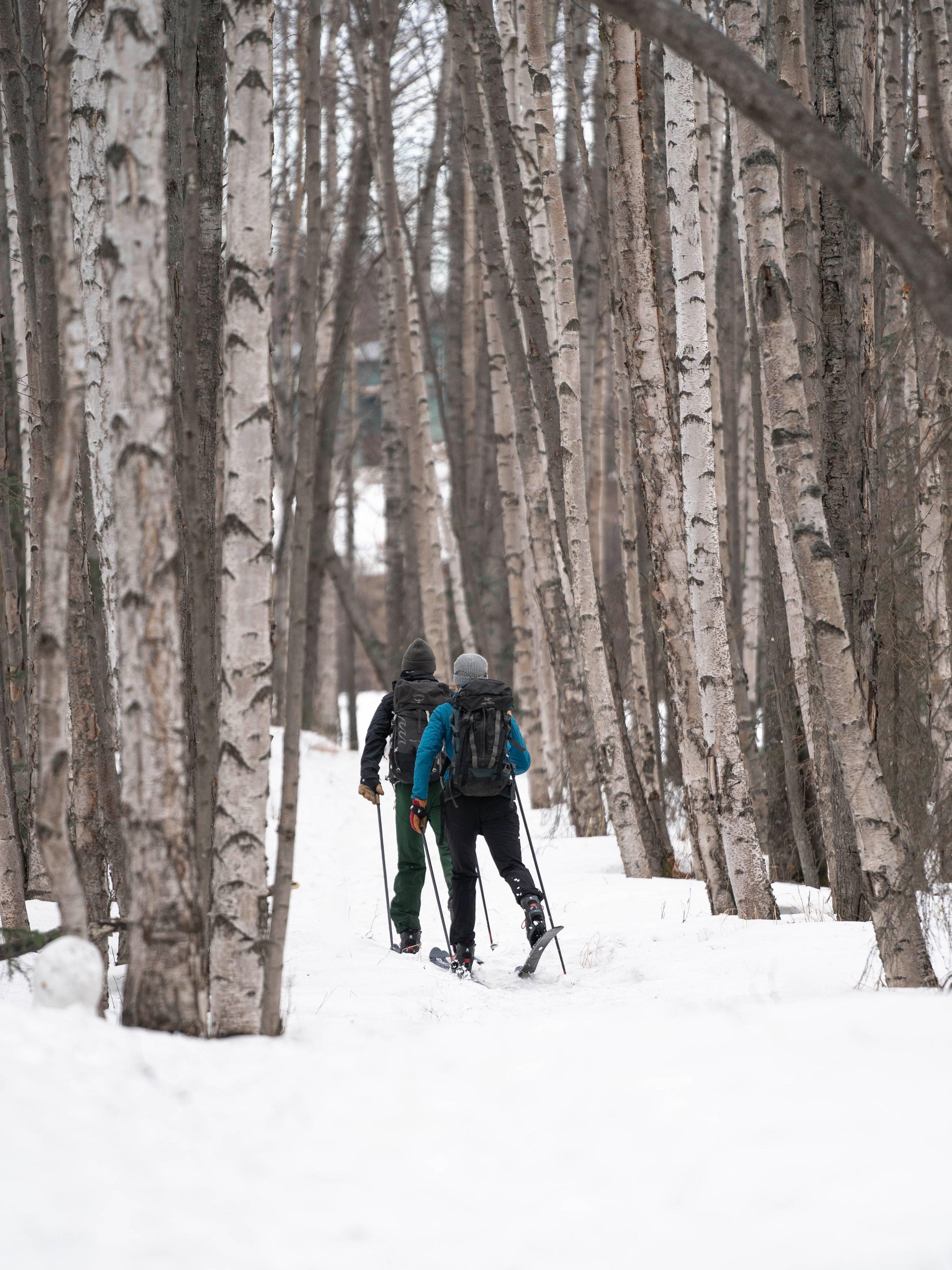 マズシャス パノラマM68 172cm Madshus Panorama M68 Skis 2026