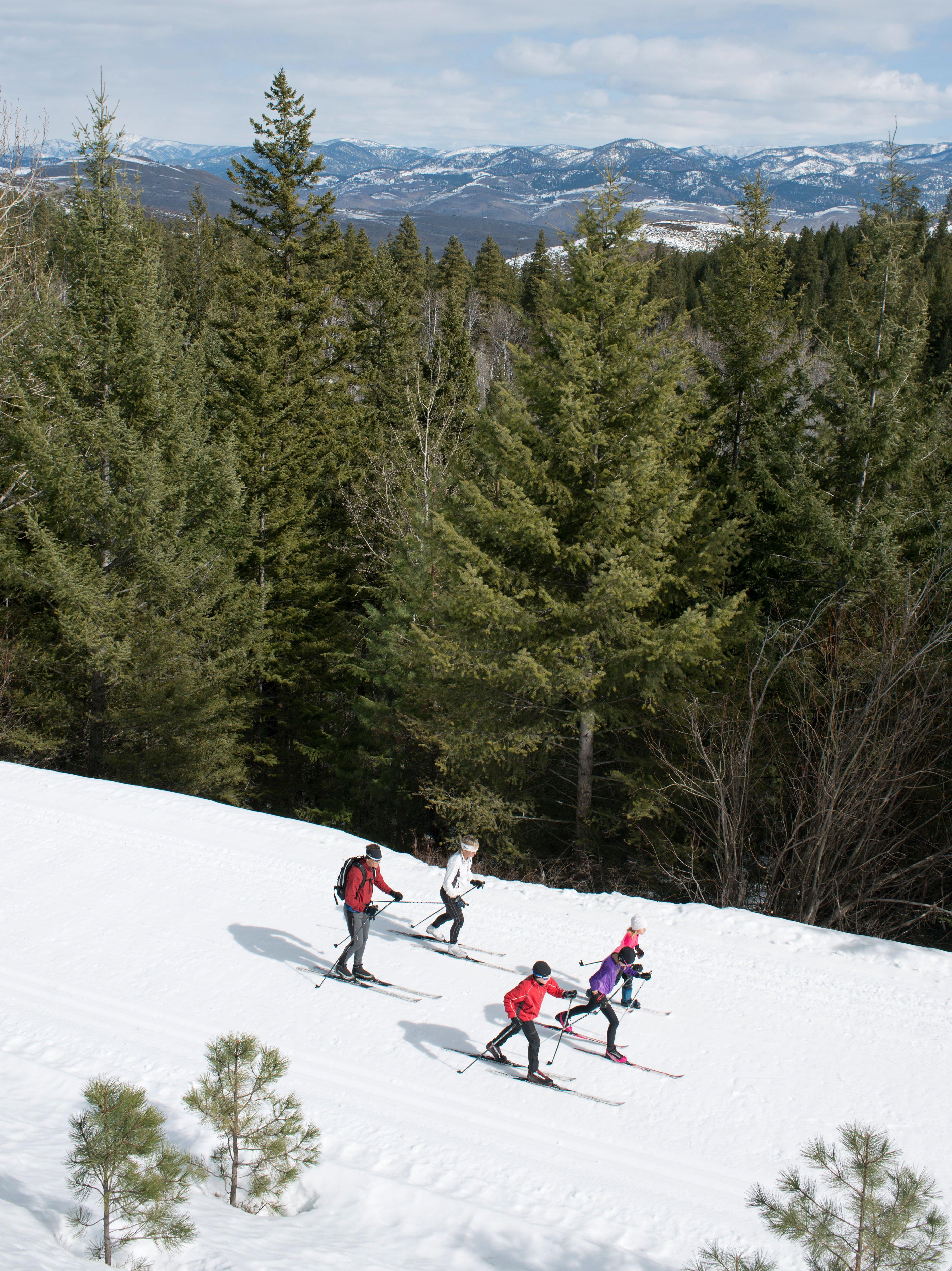 スキー HOLMENKOL SPEED POWDER MATRIX MID スキー HOLMENKOL SPEED