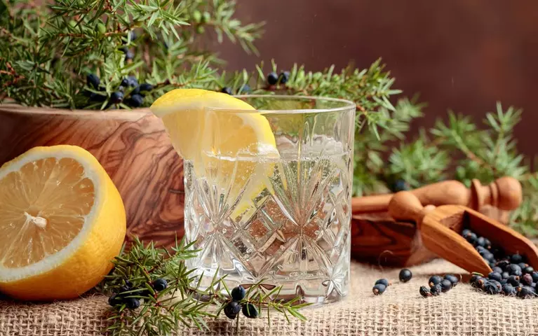 Gin Tonic épices kit  5 botanicals naturelles pour Cocktails