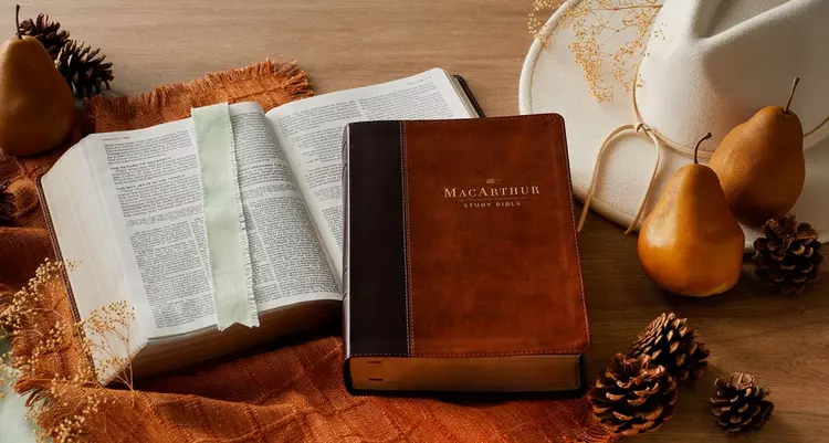 ESV McArthur Study Bible